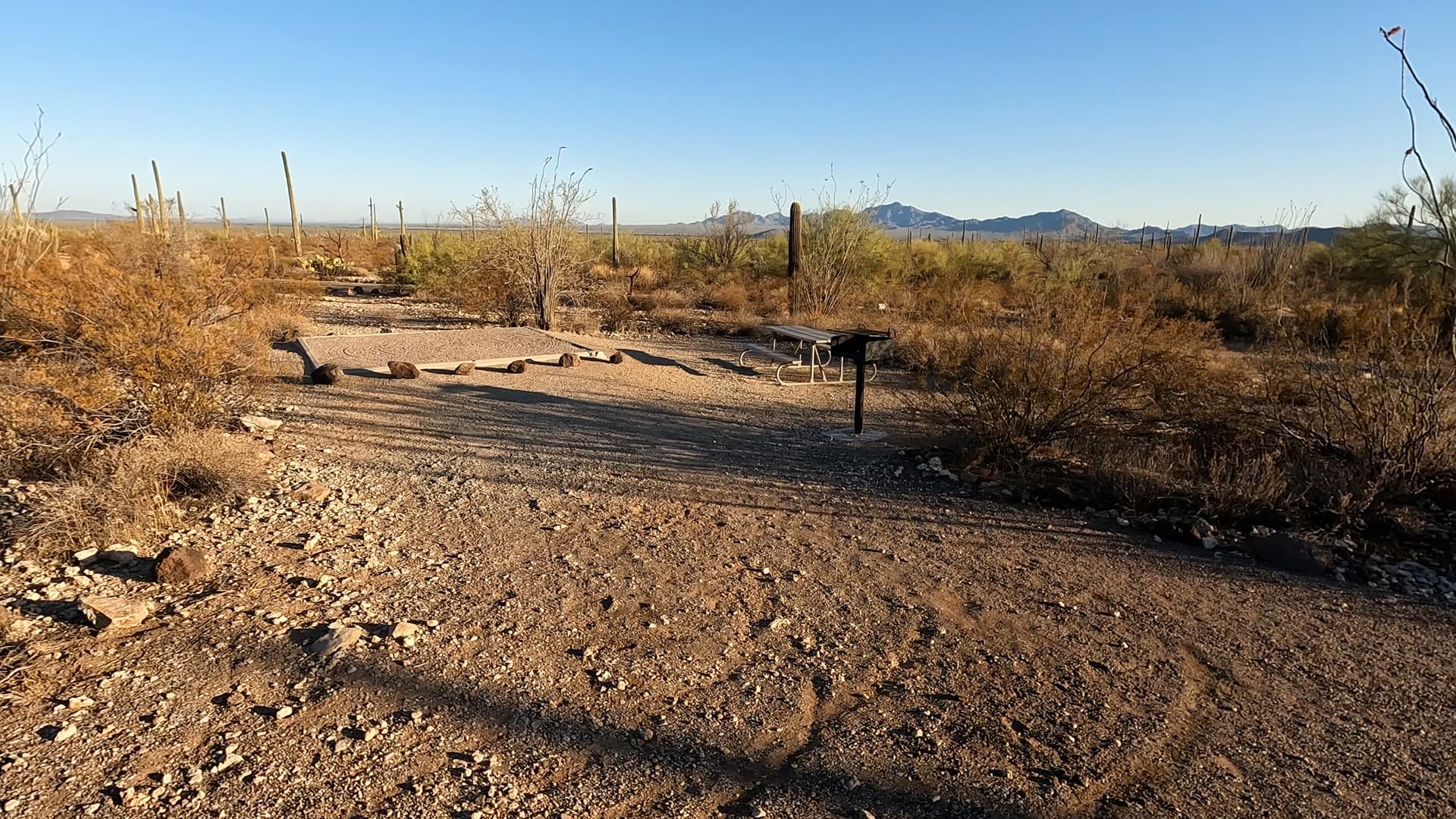 Site 202