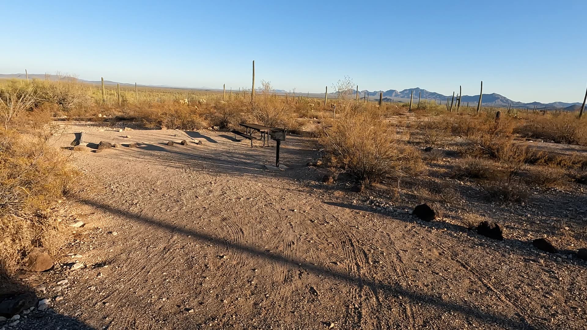 Site 206