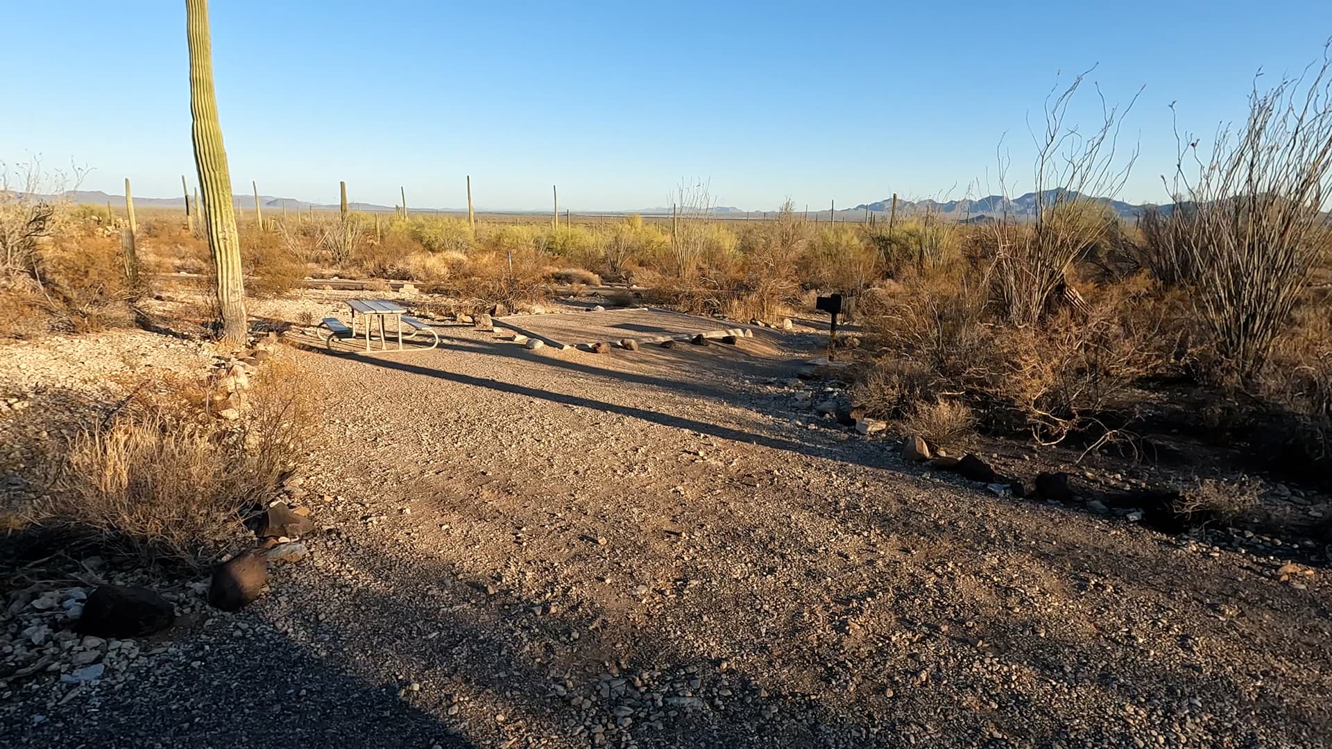 Site 207