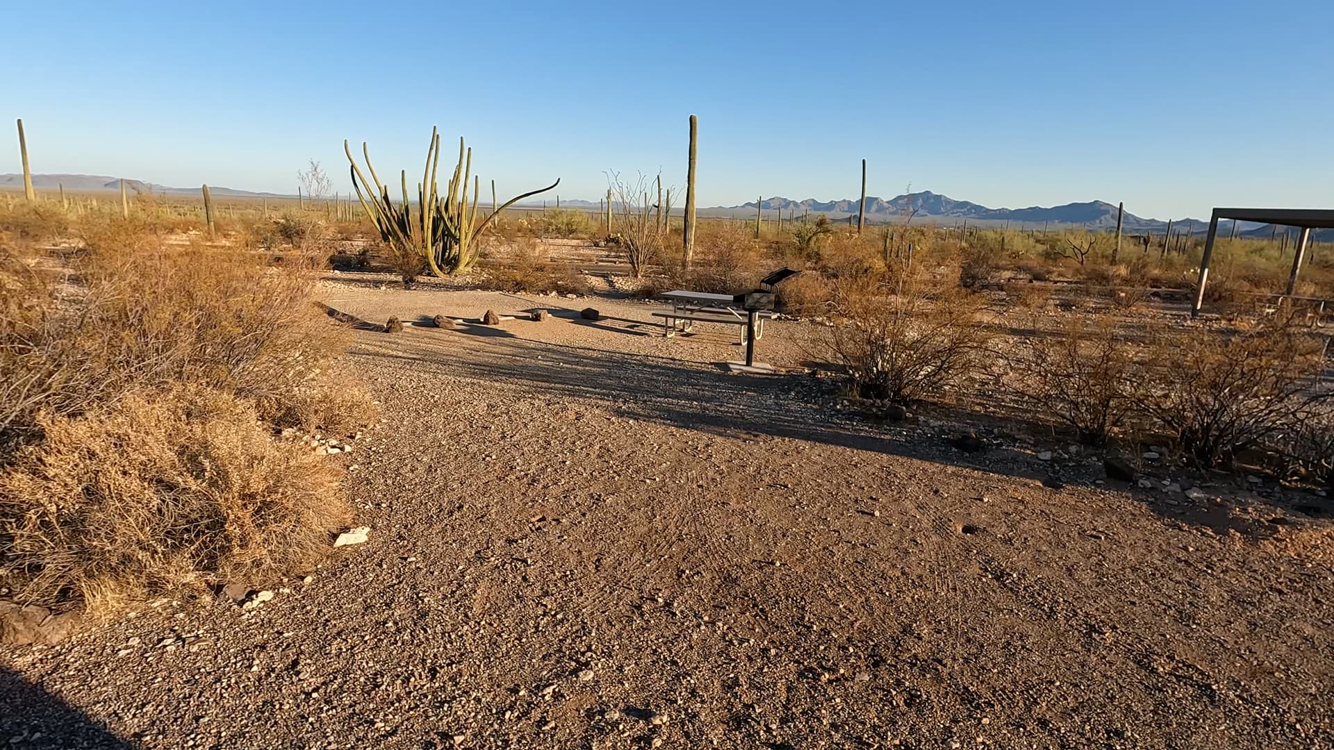 Site 204