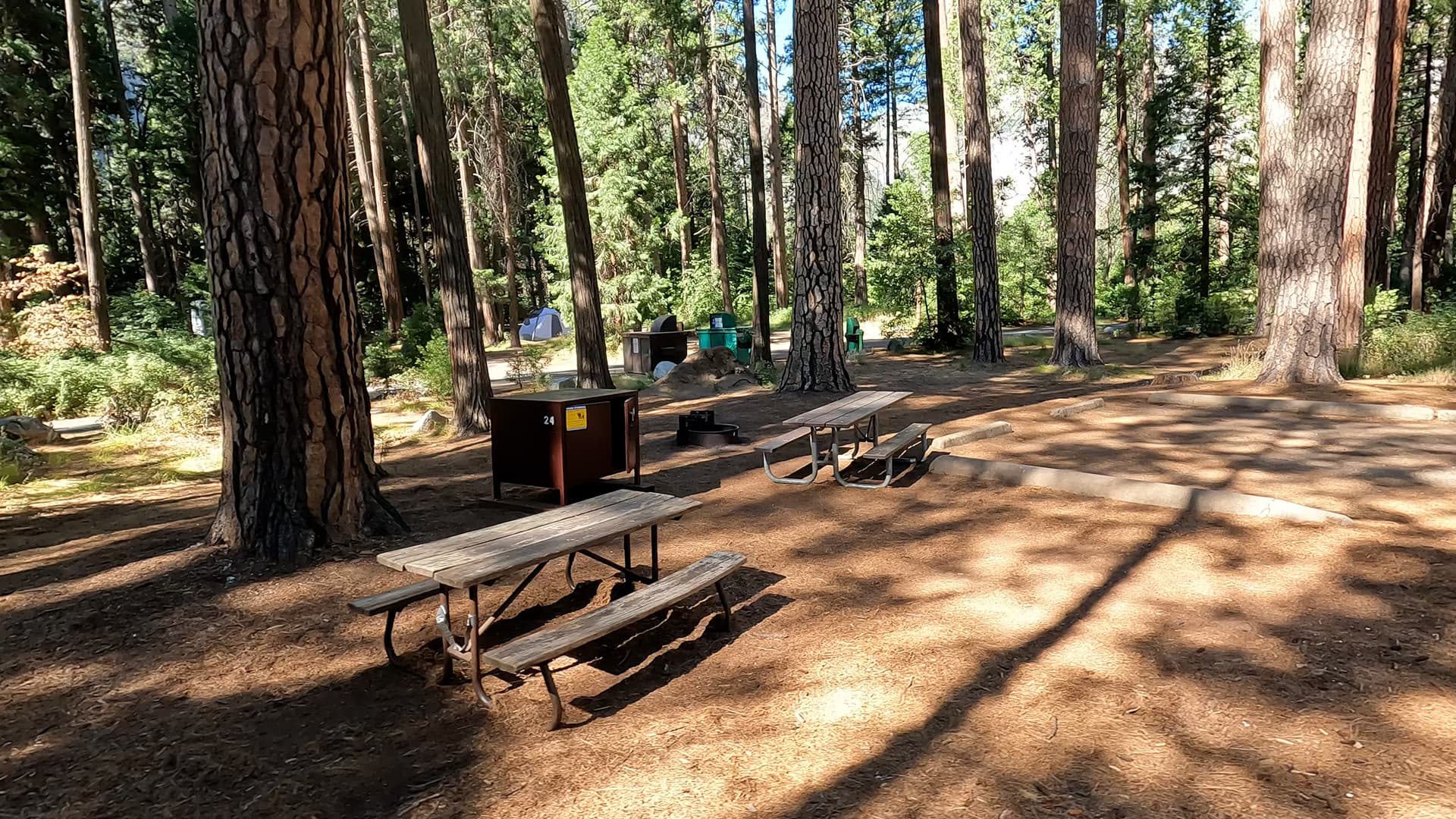 Site 24