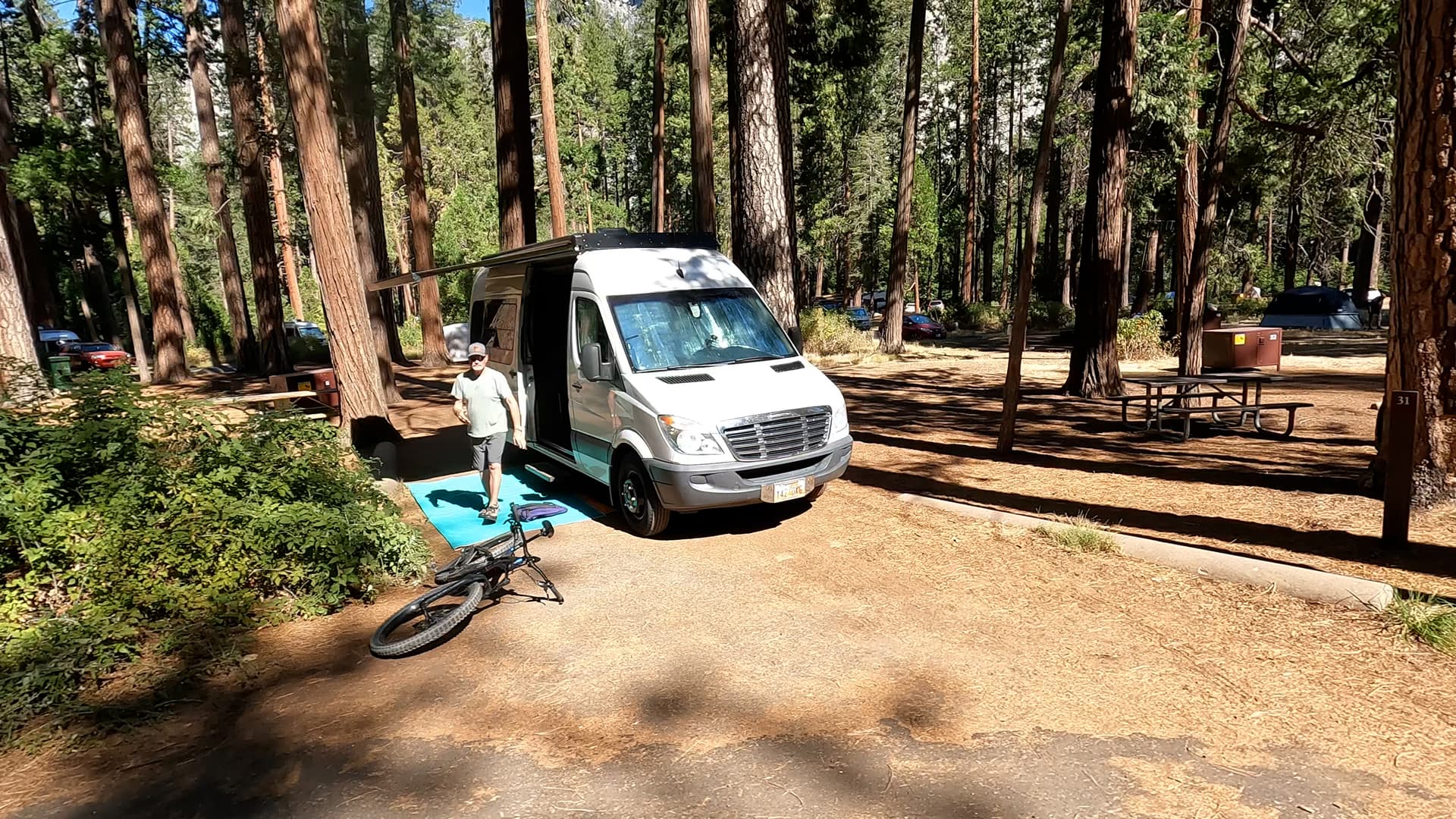 Site 31