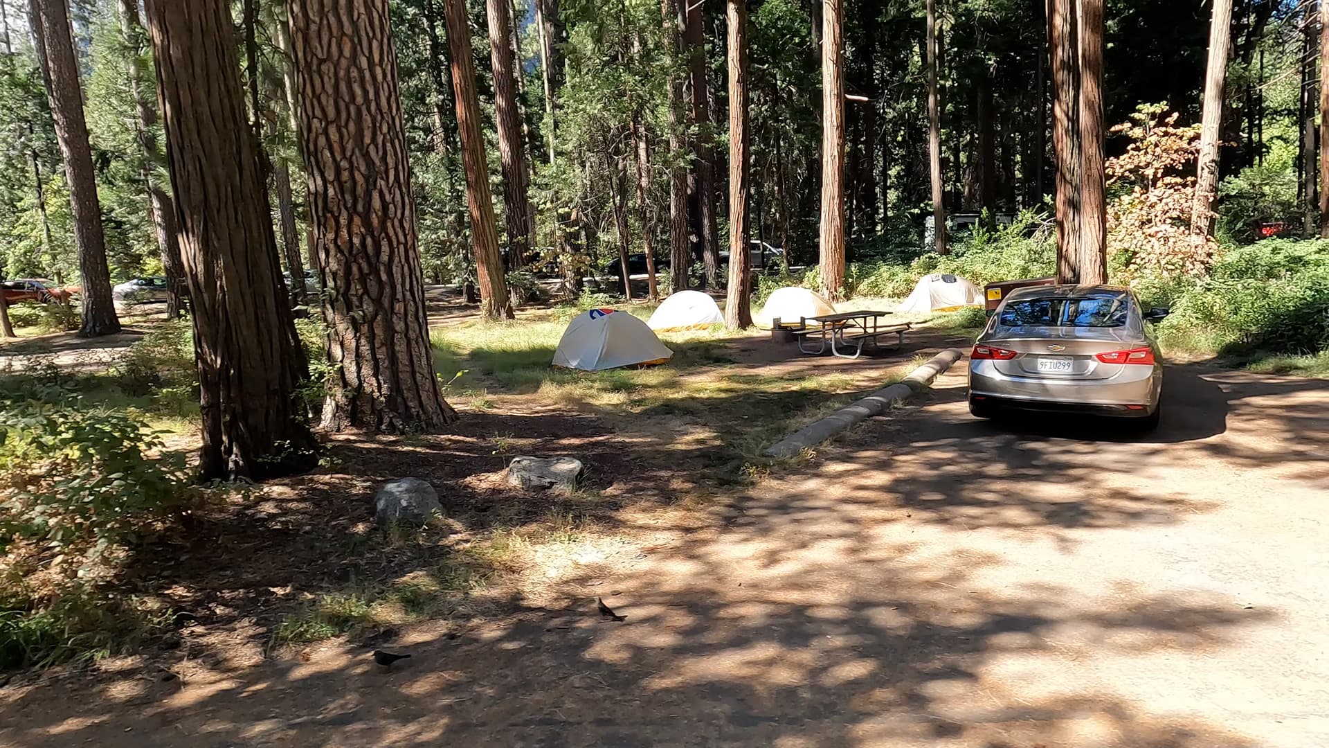 Site 29