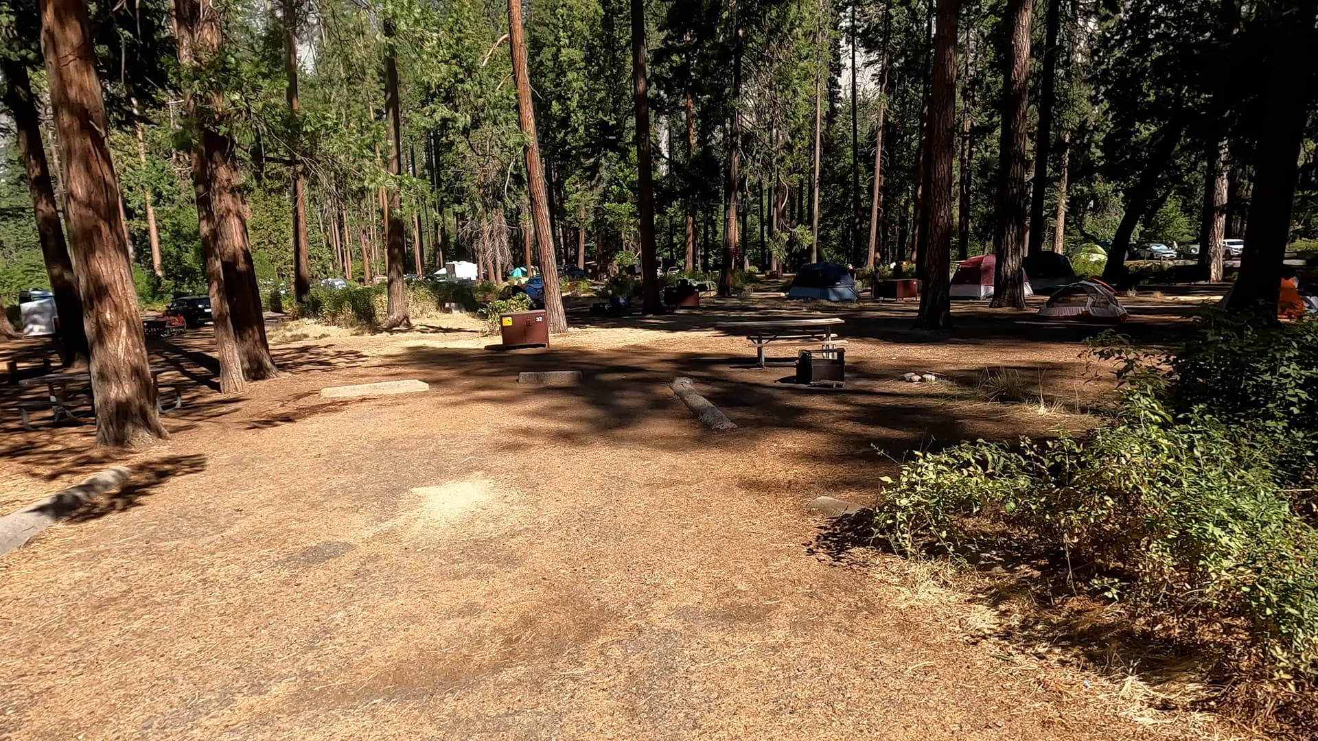 Site 32