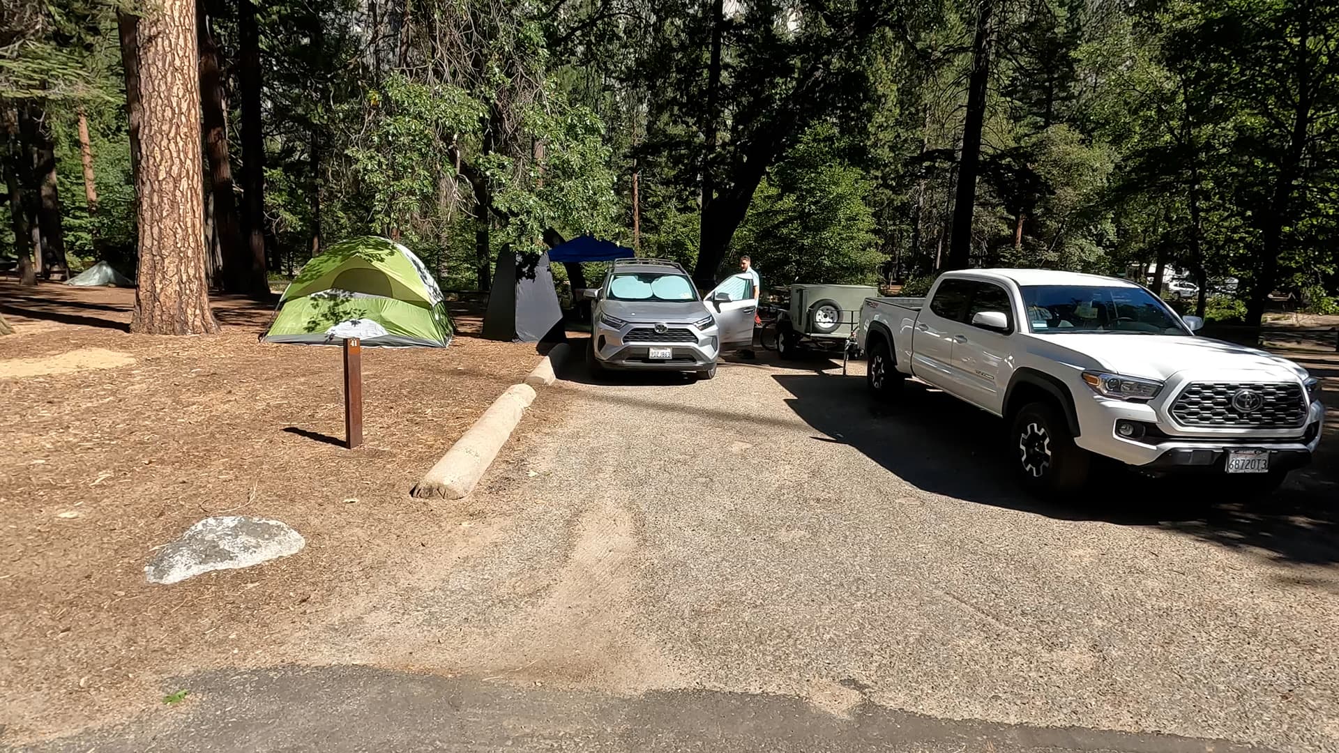 Site 41