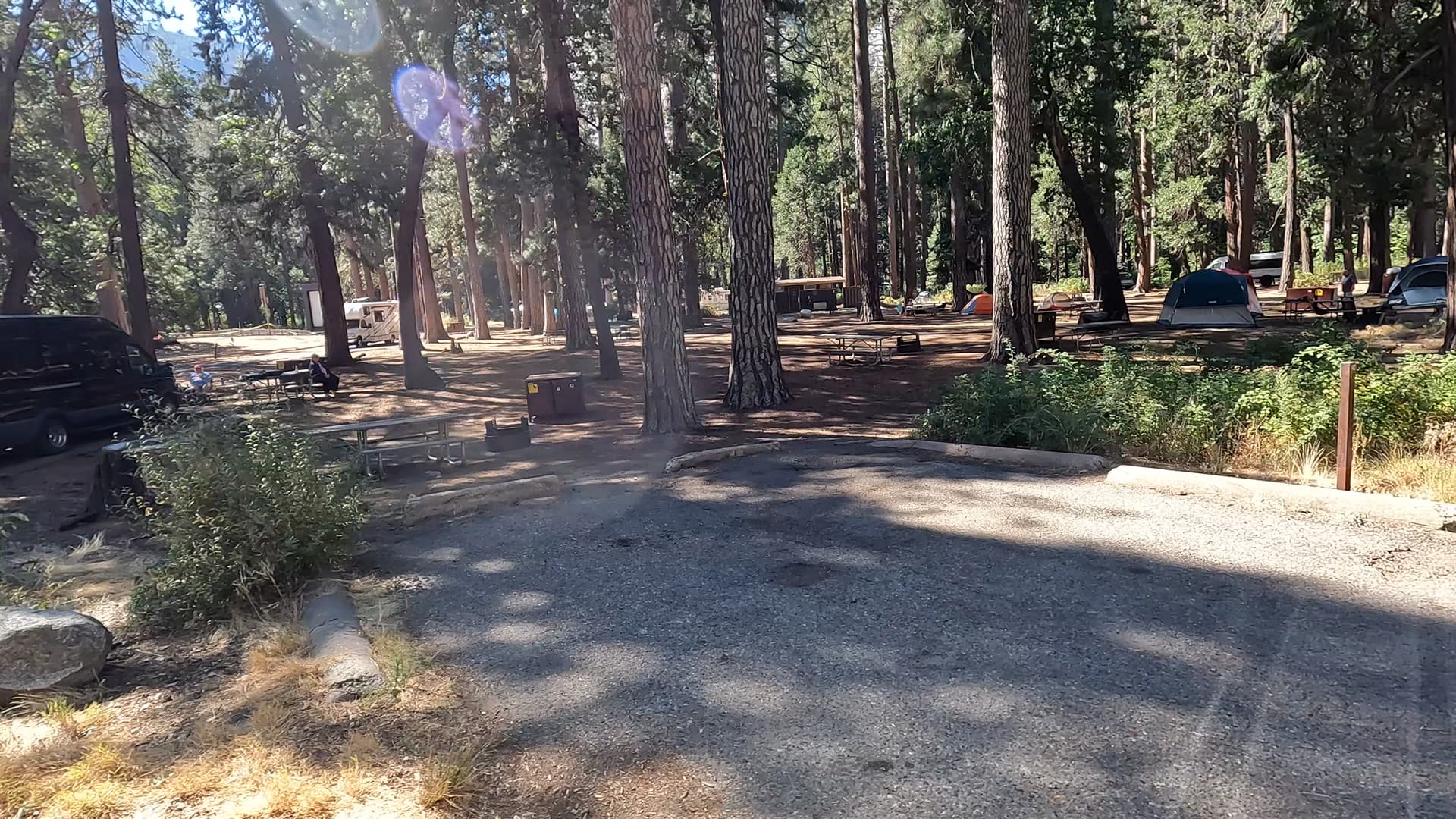 Site 42