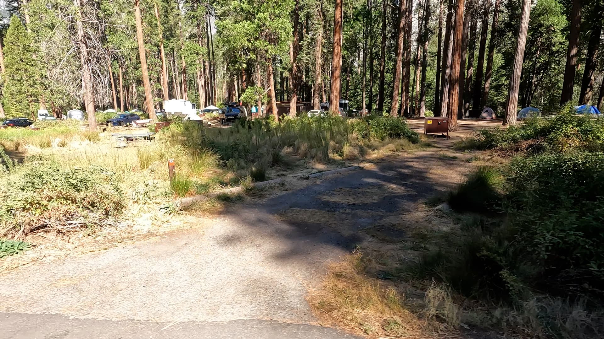 Site 45
