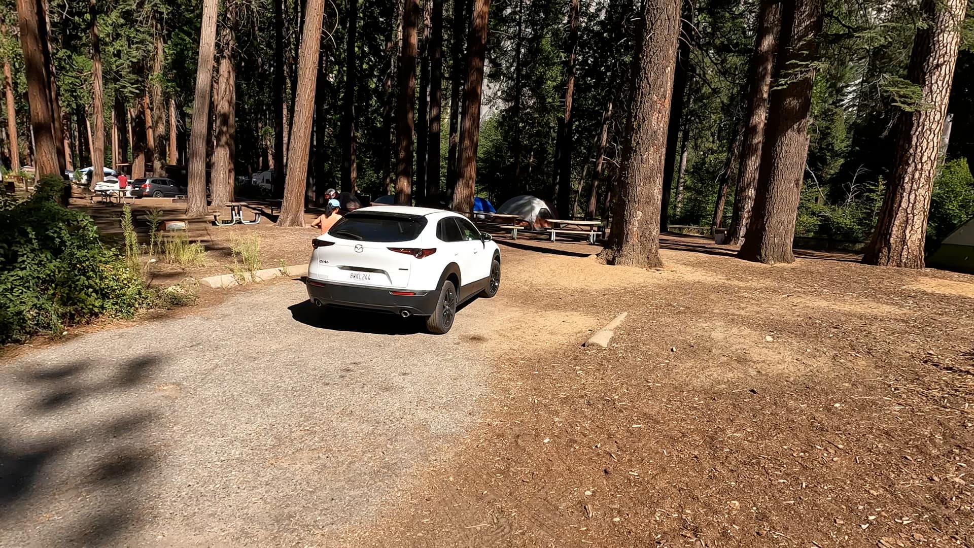Site 43