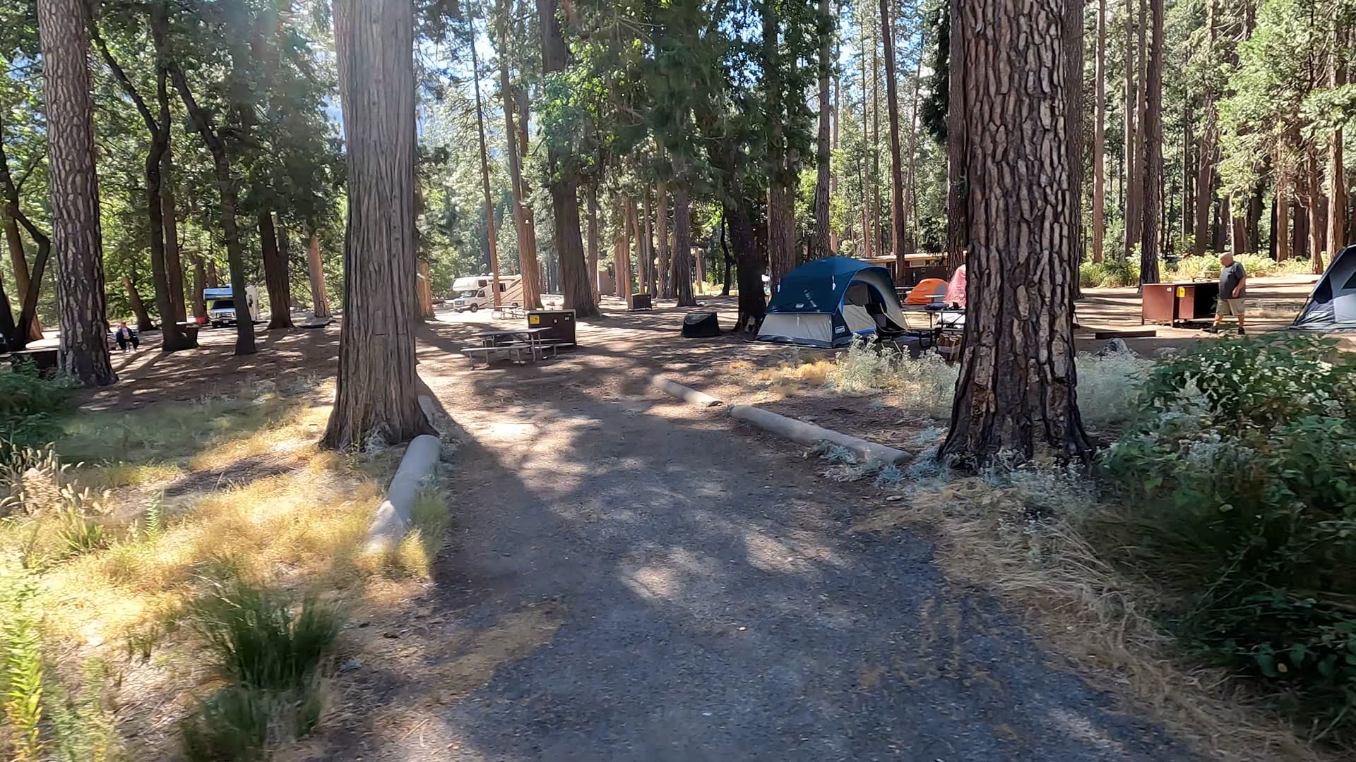 Site 44