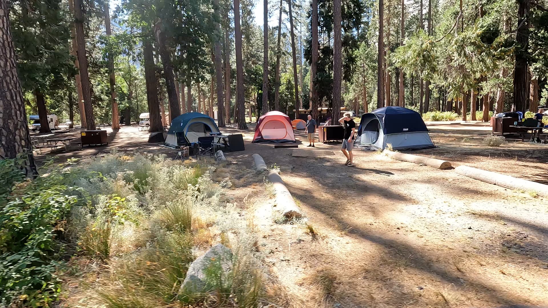 Site 46