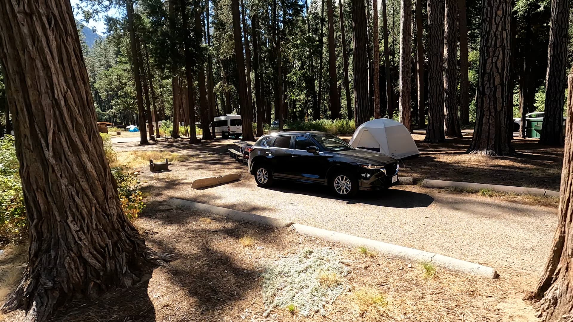 Site 49