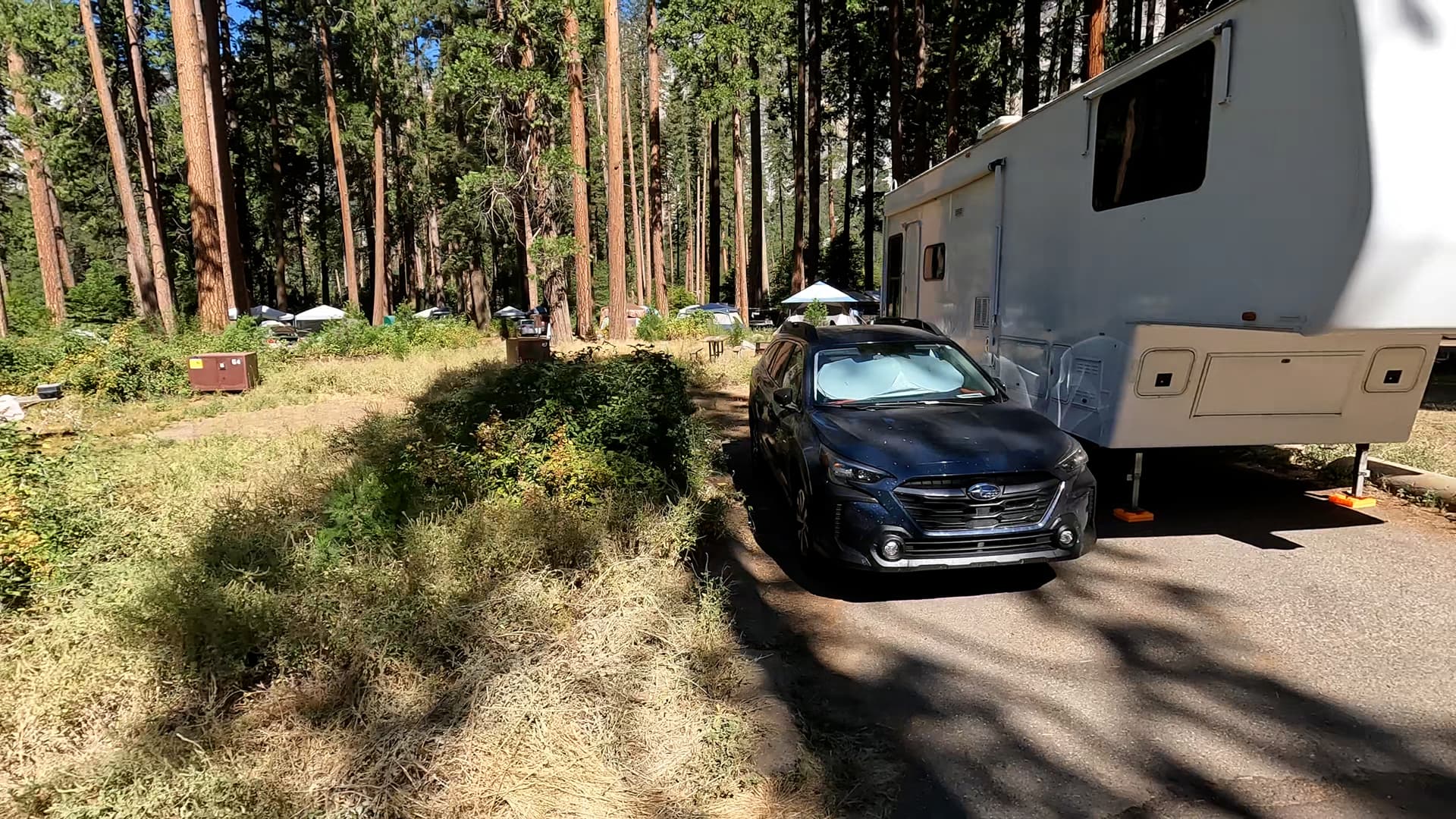 Site 56