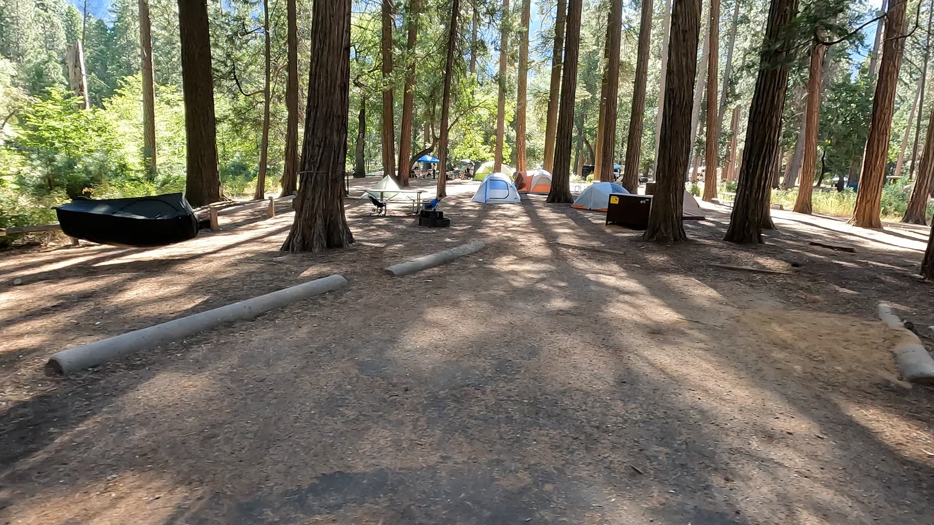 Site 60
