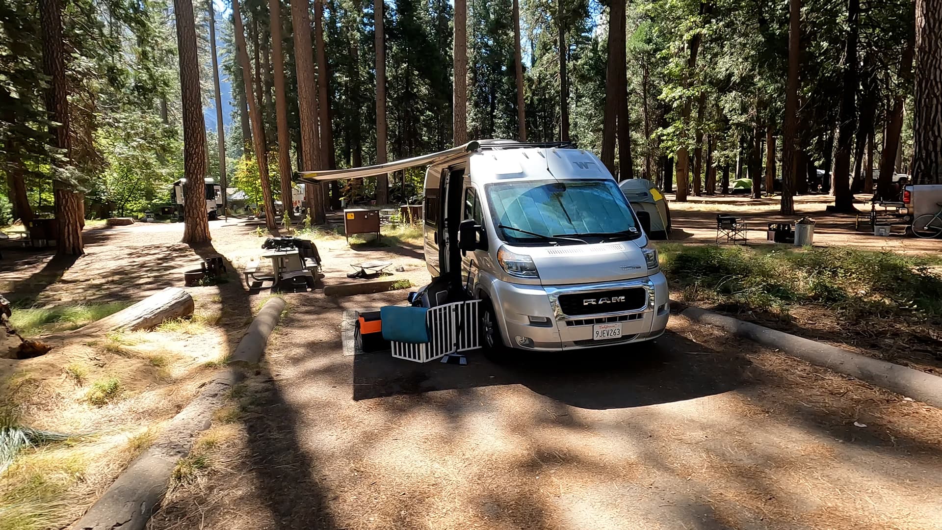 Site 203