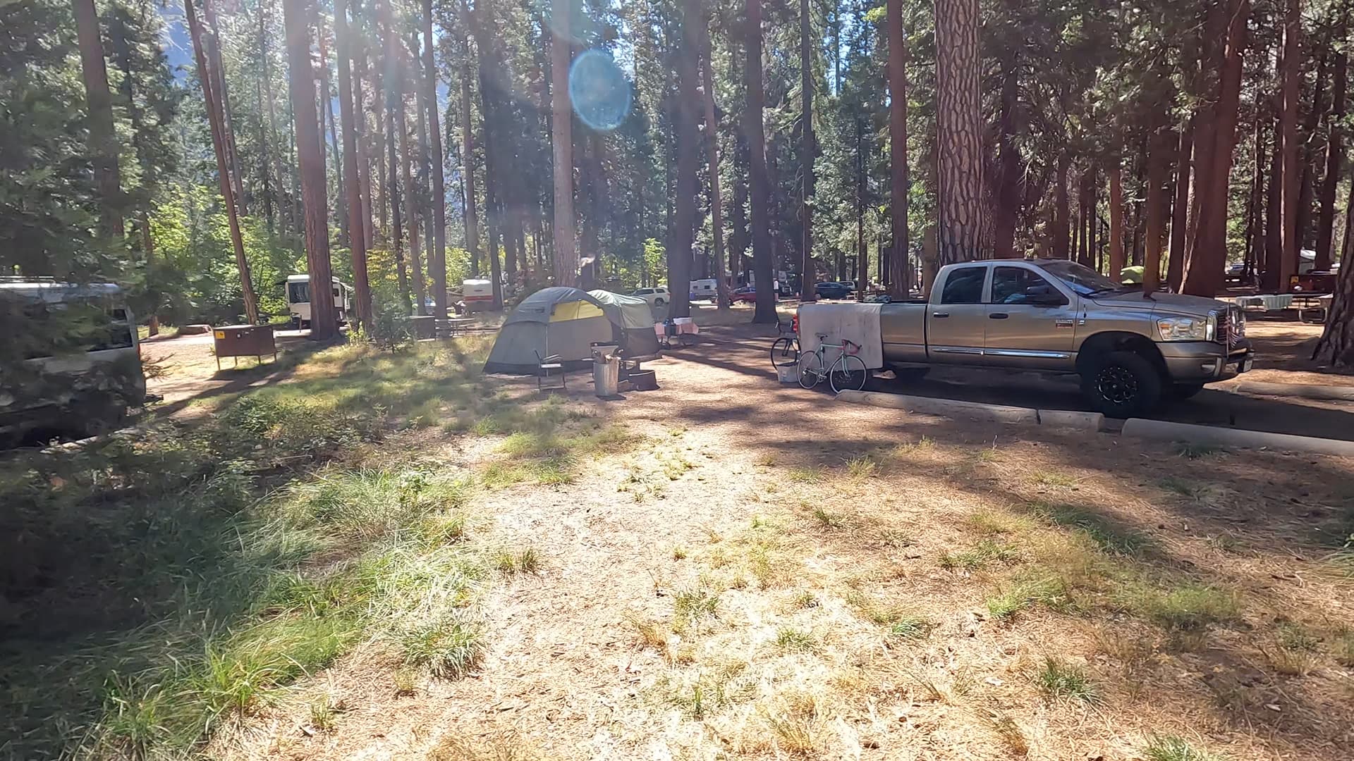 Site 207