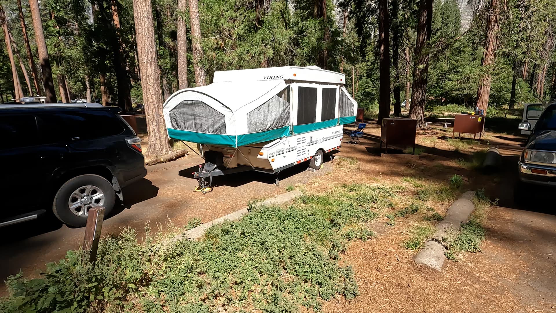 Site 206