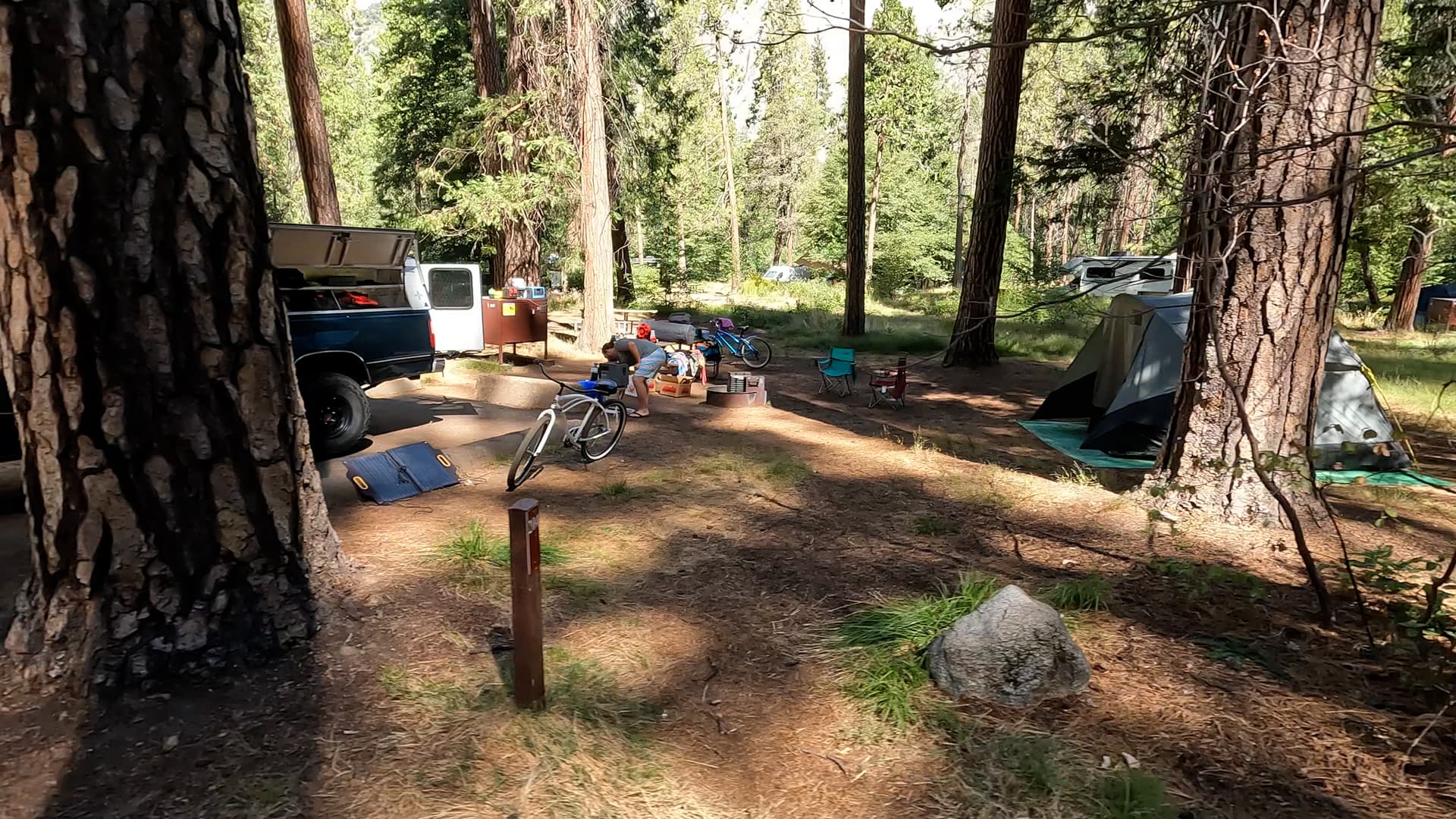 Site 204