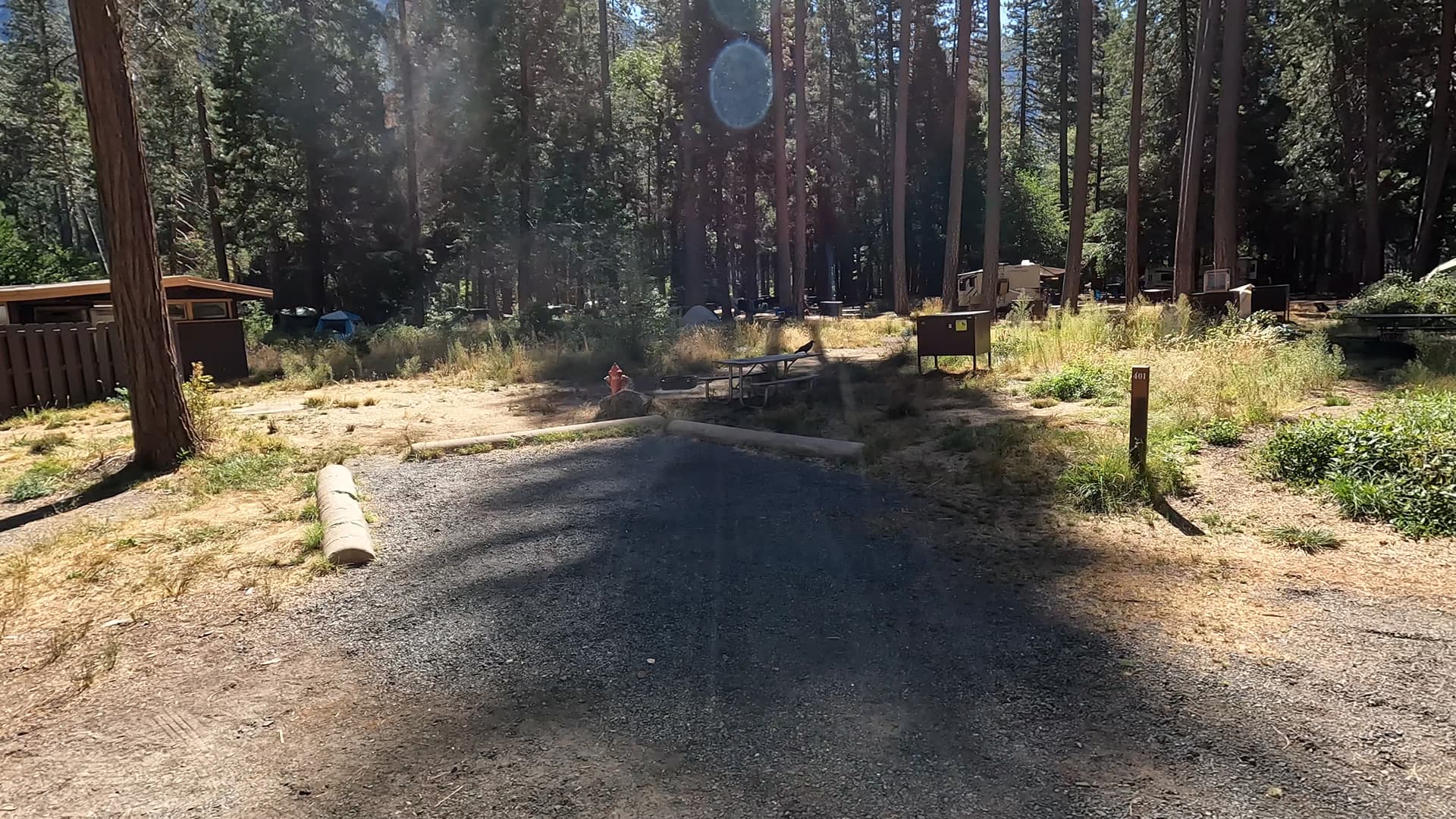 Site 401