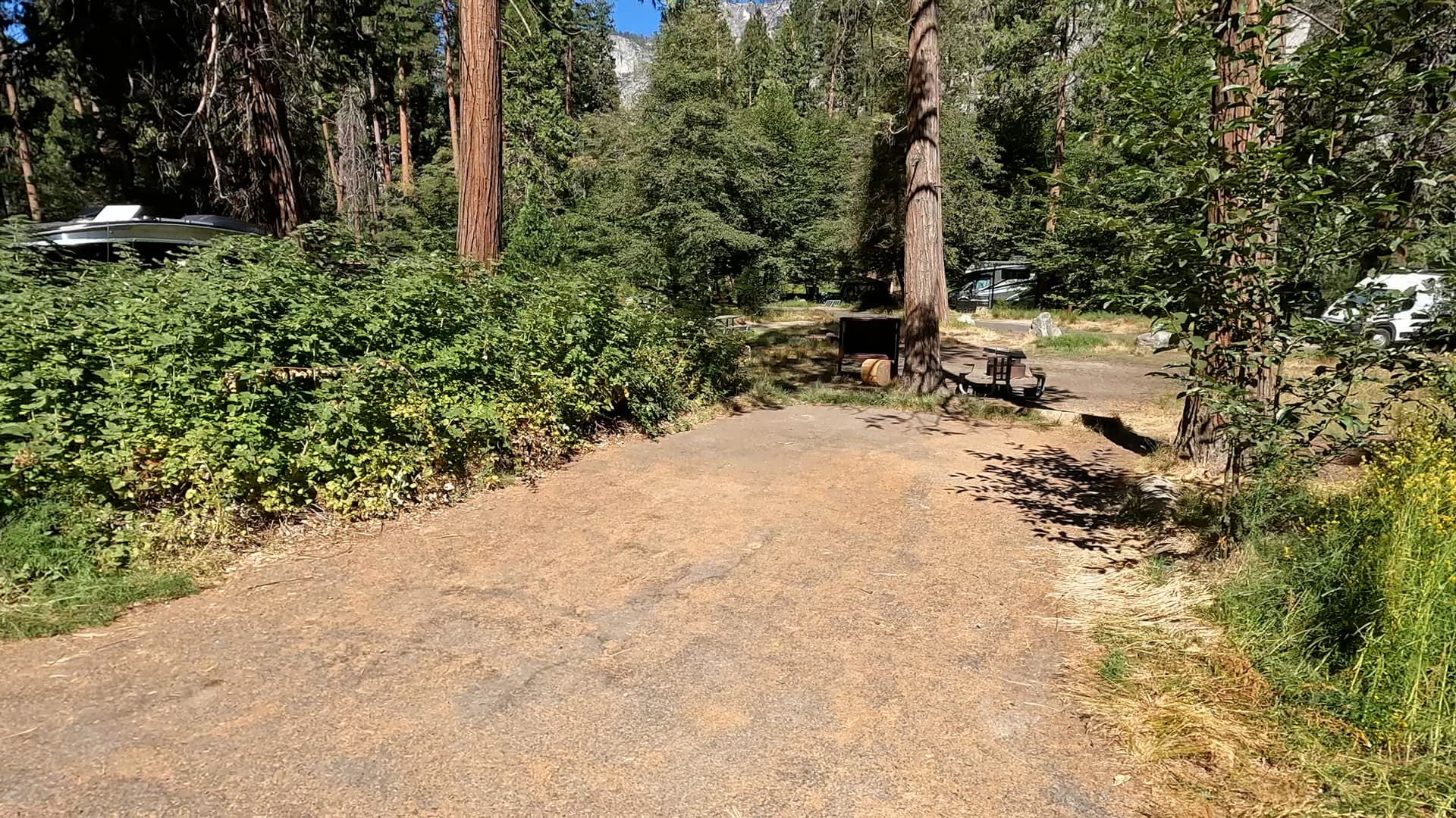 Site 306