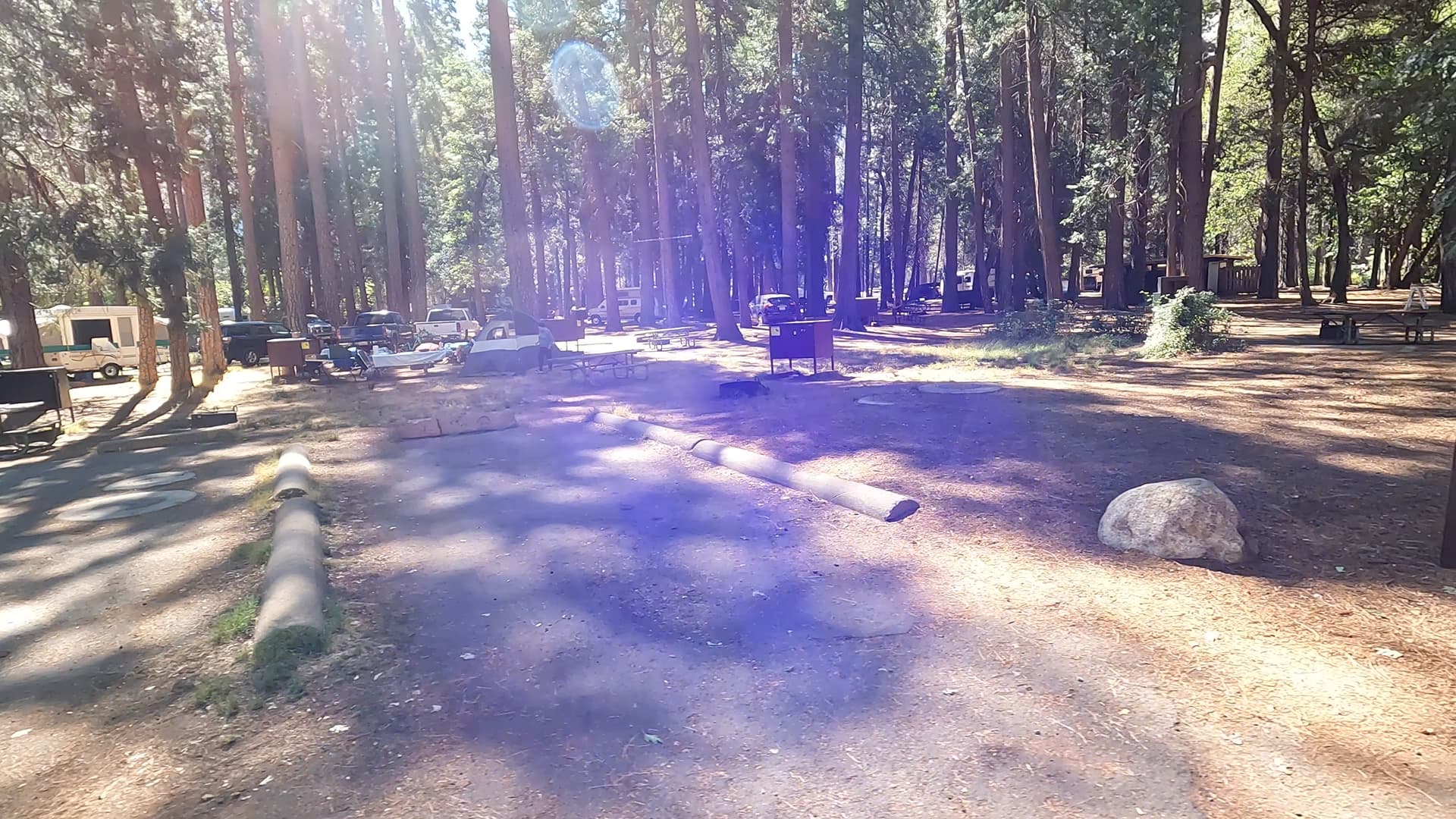 Site 313