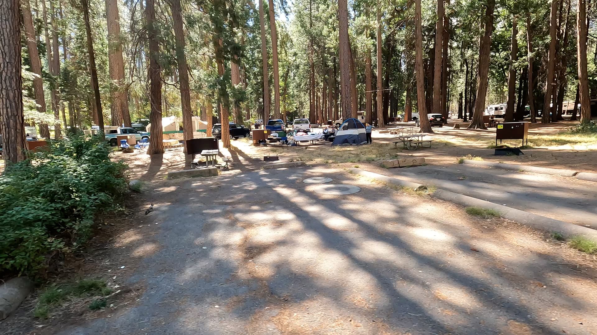 Site 311