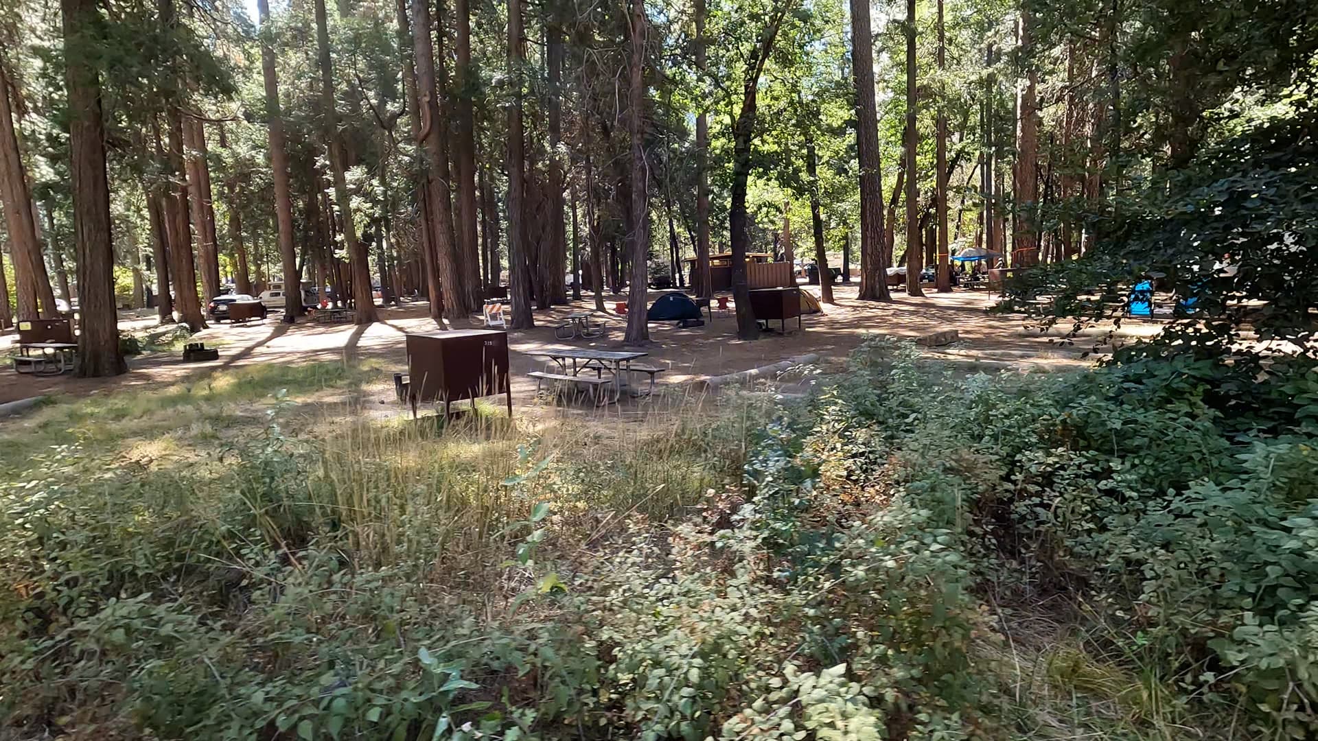 Site 319
