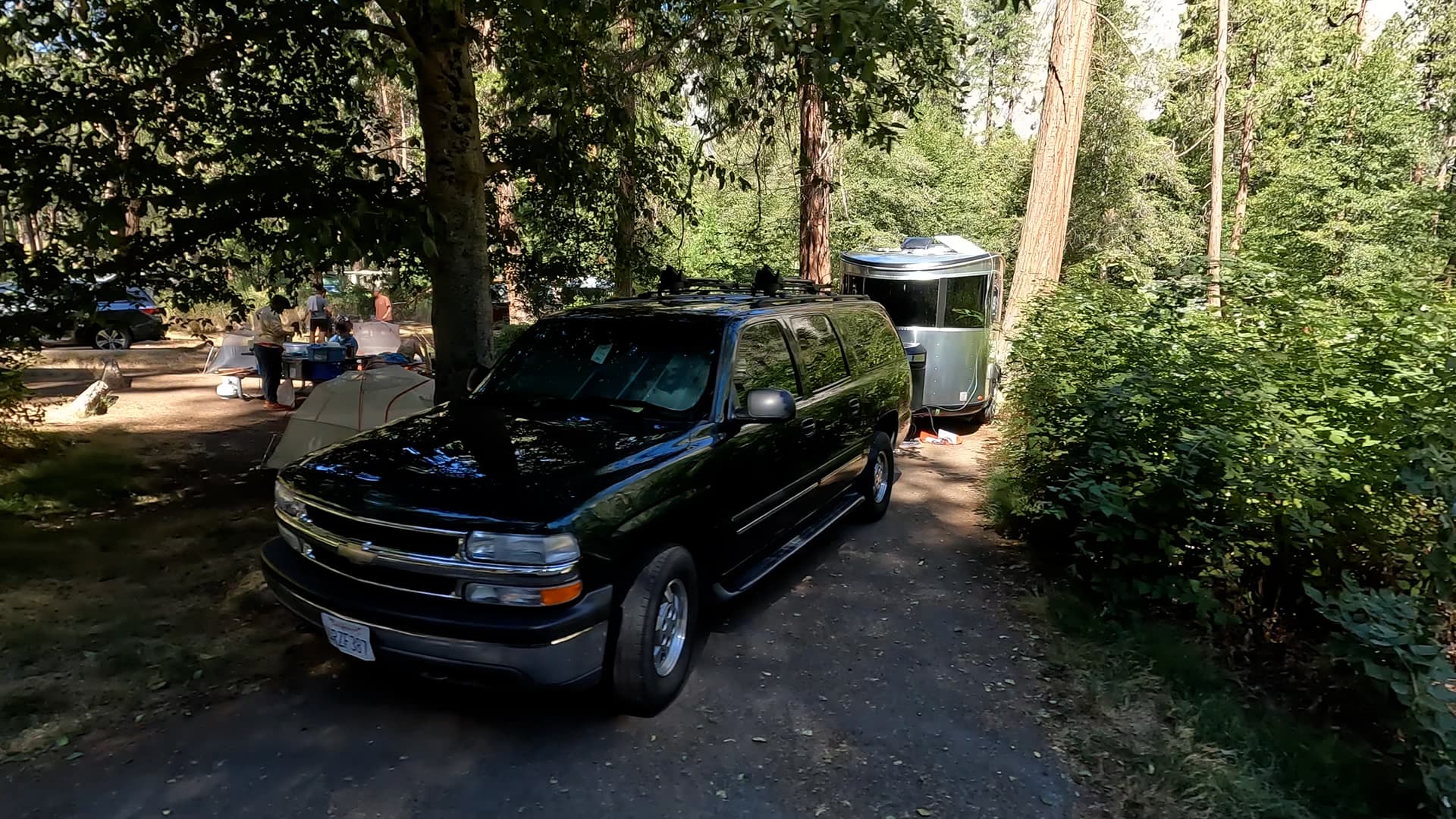 Site 308