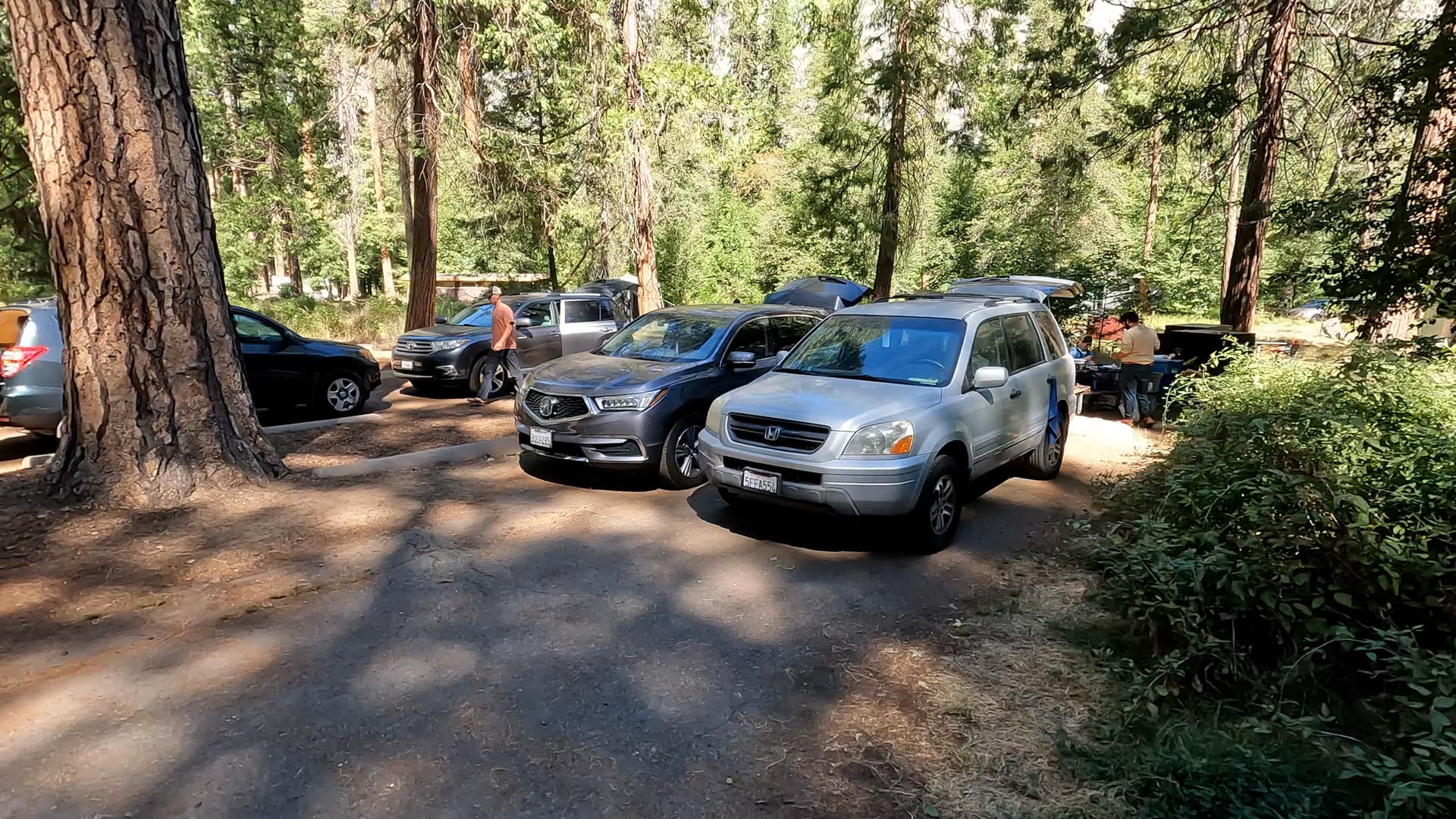 Site 310