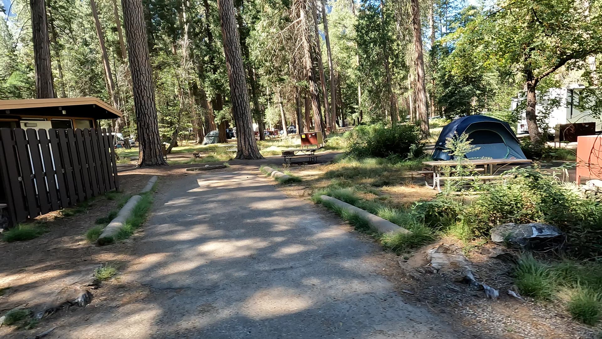 Site 301