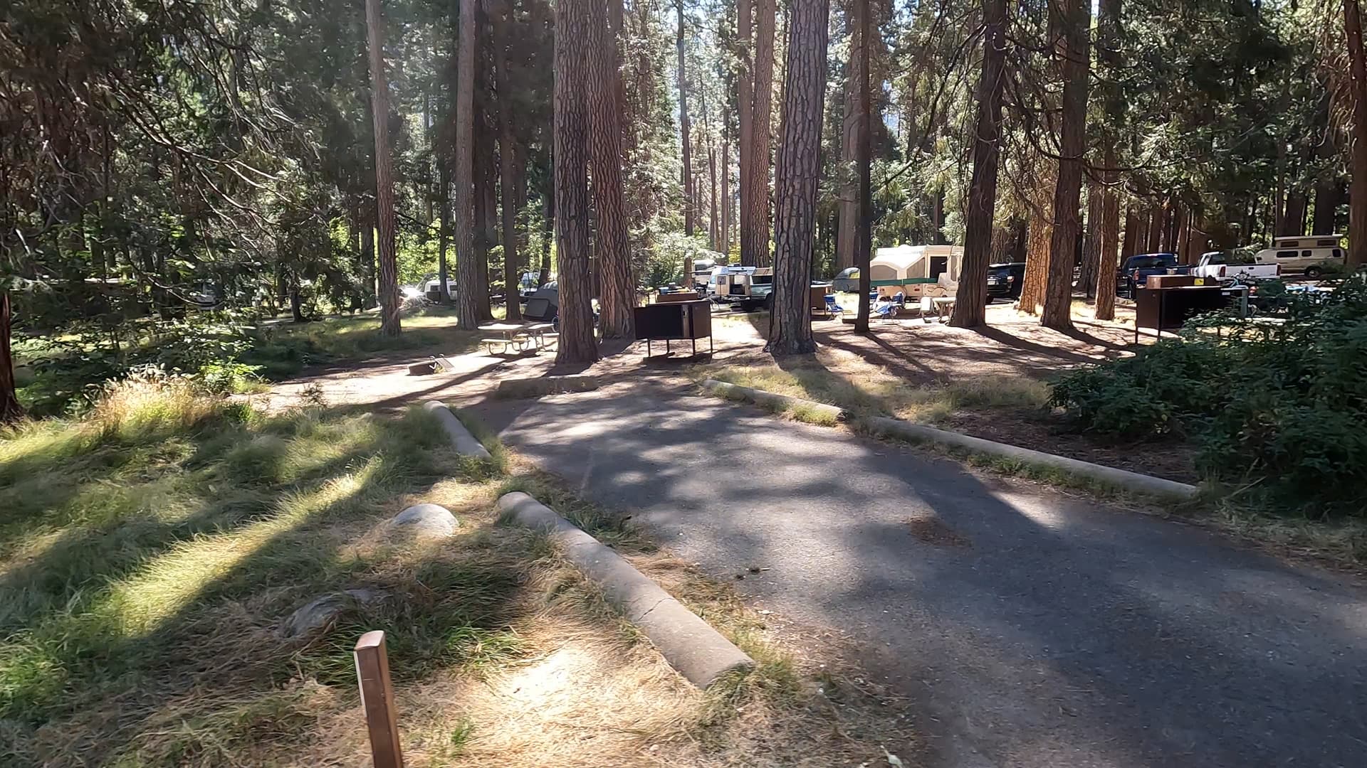 Site 309