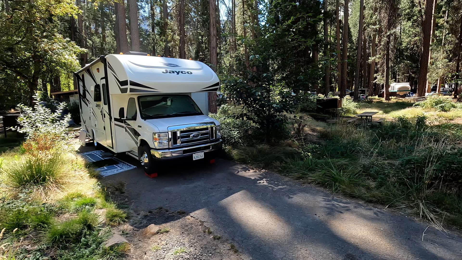 Site 305