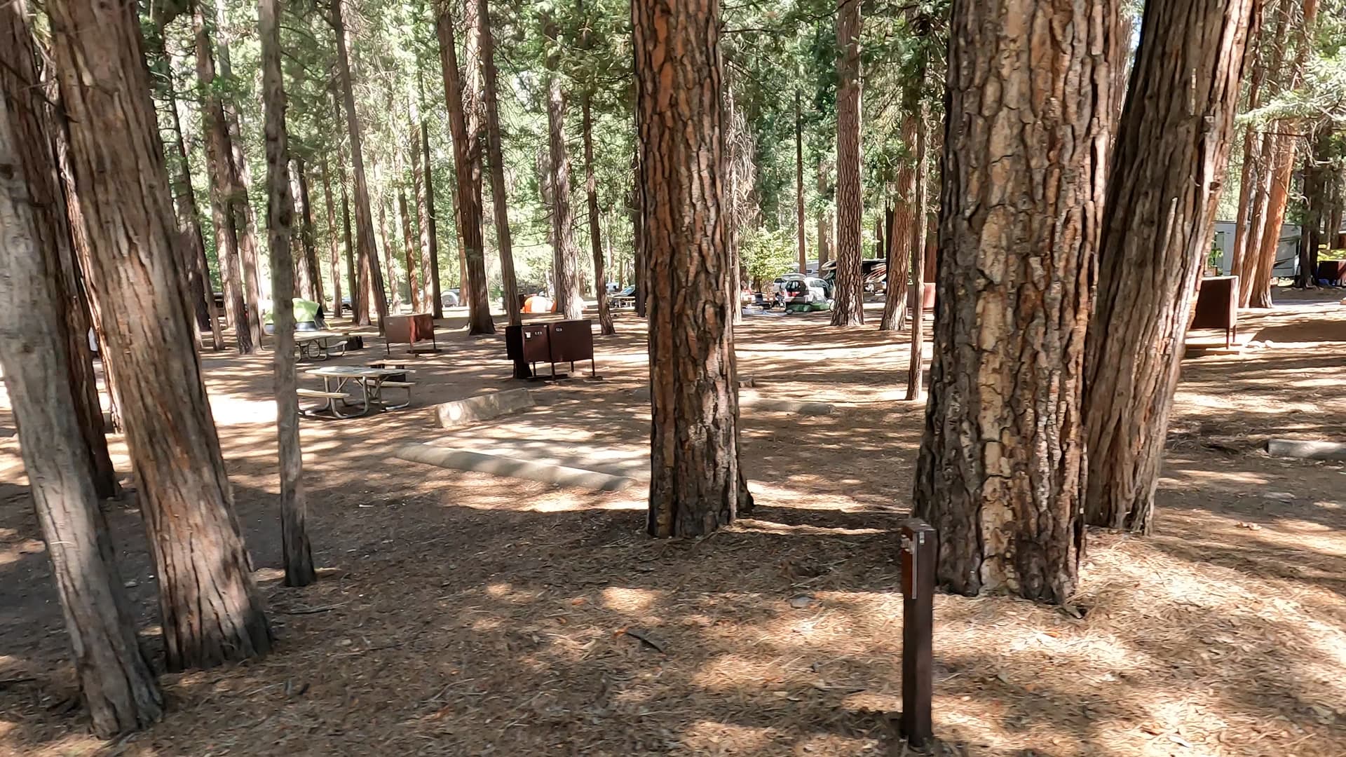 Site 529
