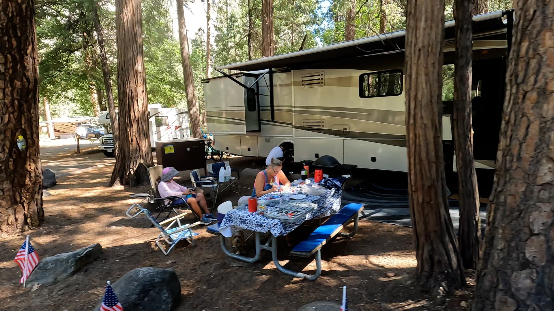 Site 517