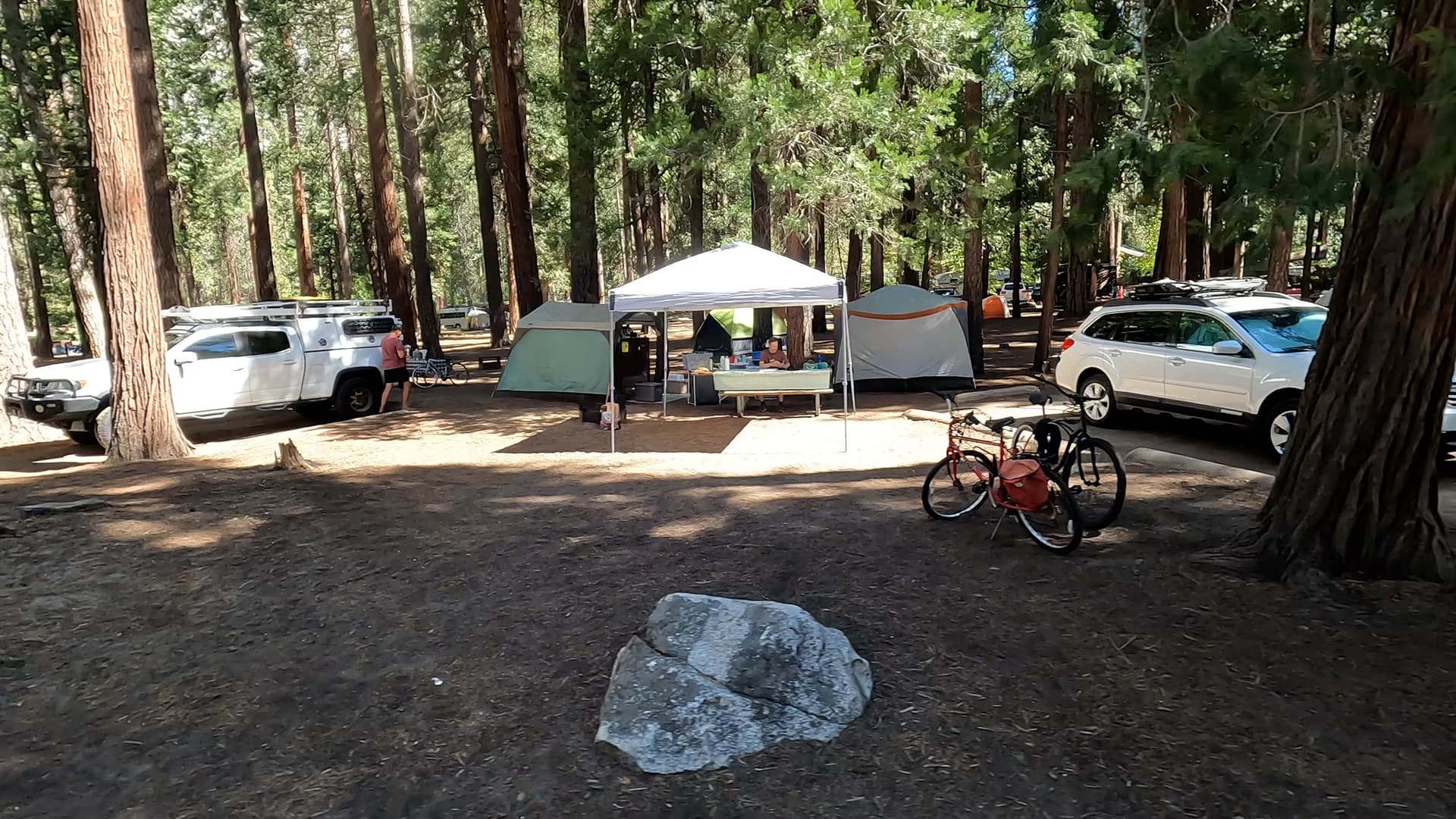 Site 525