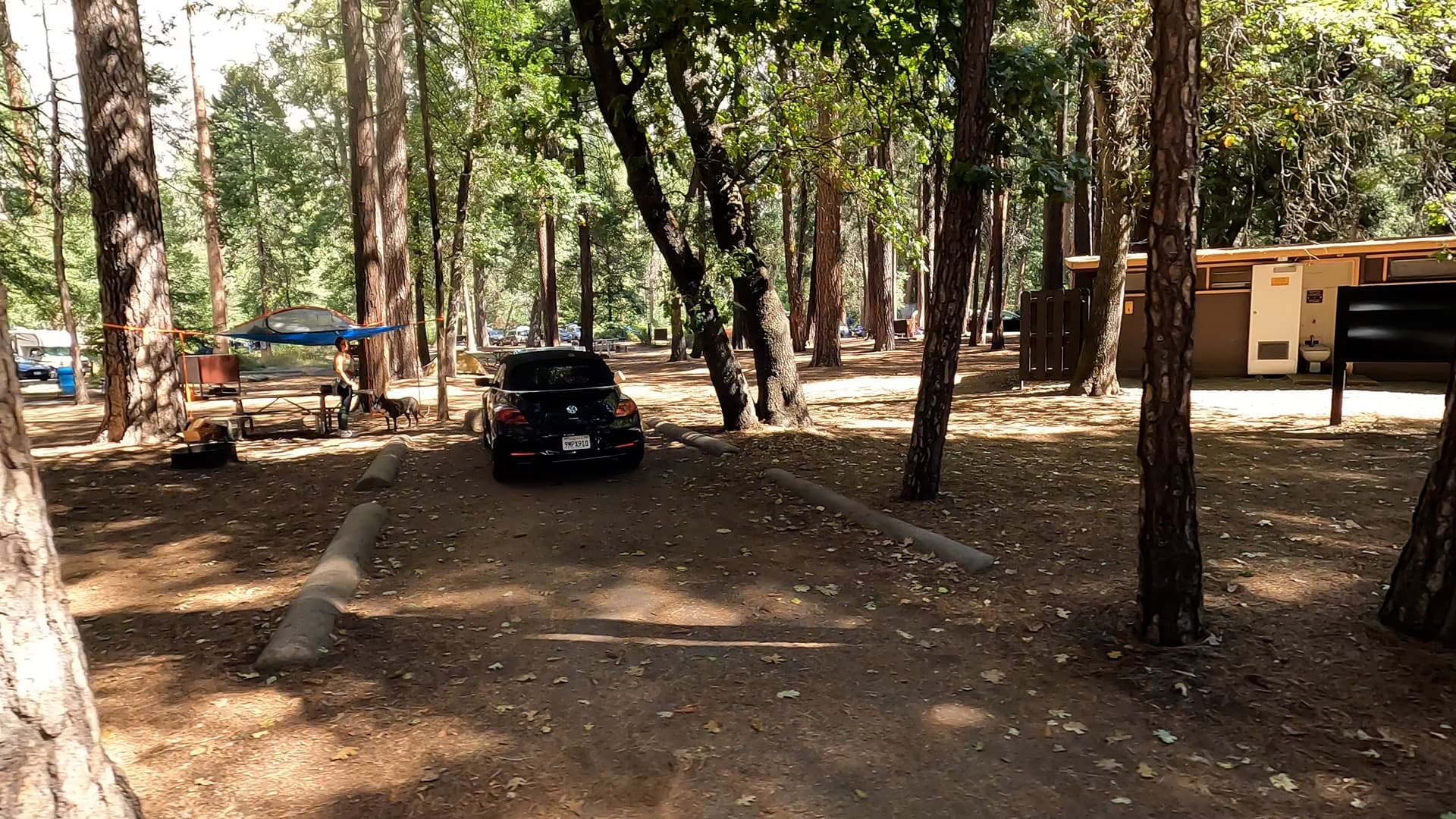 Site 519