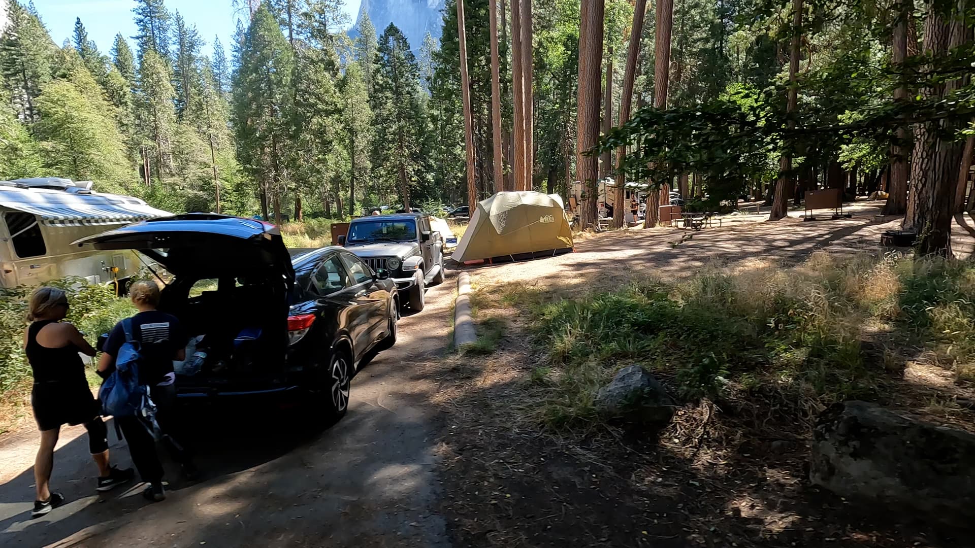 Site 405