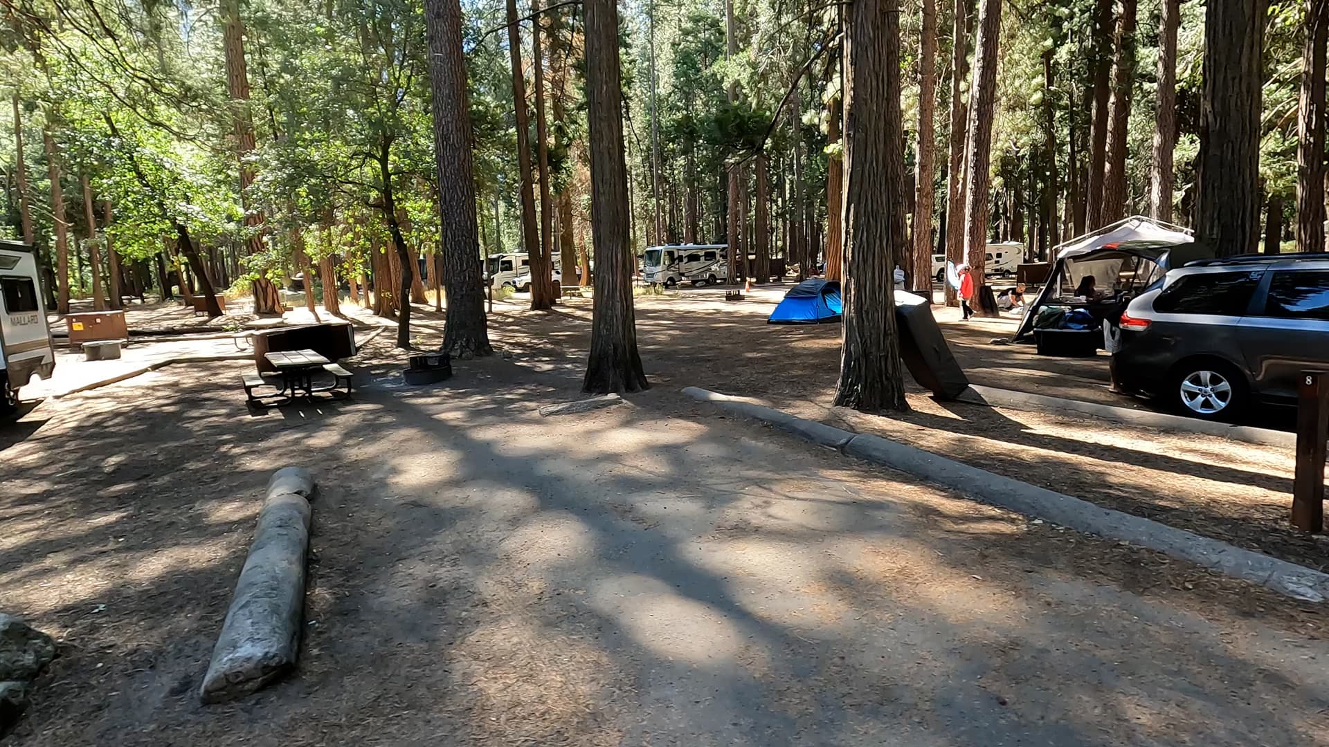 Site 8