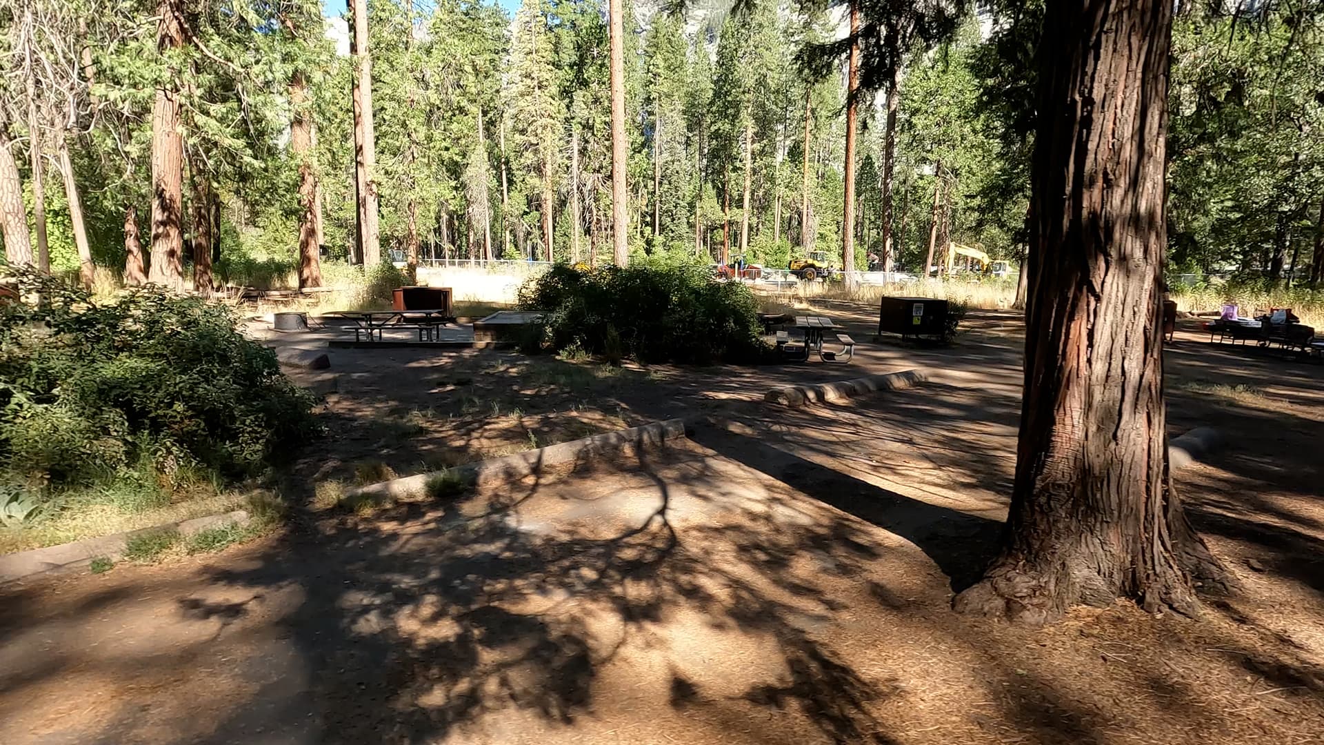 Site 19