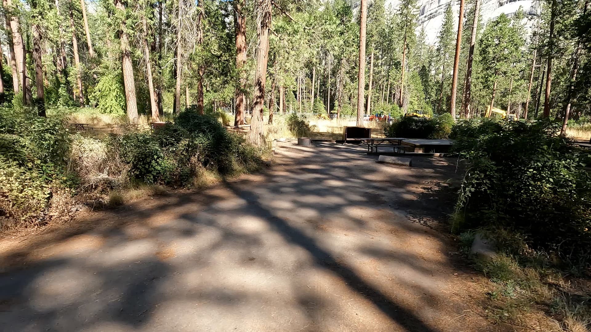 Site 21
