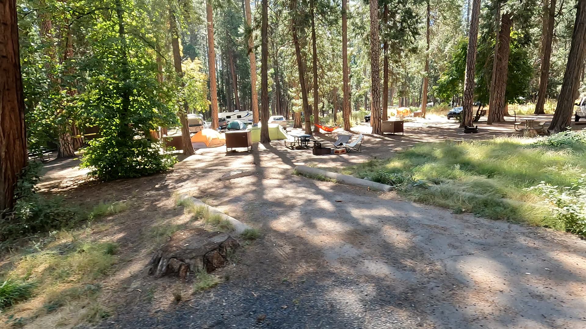Site 25