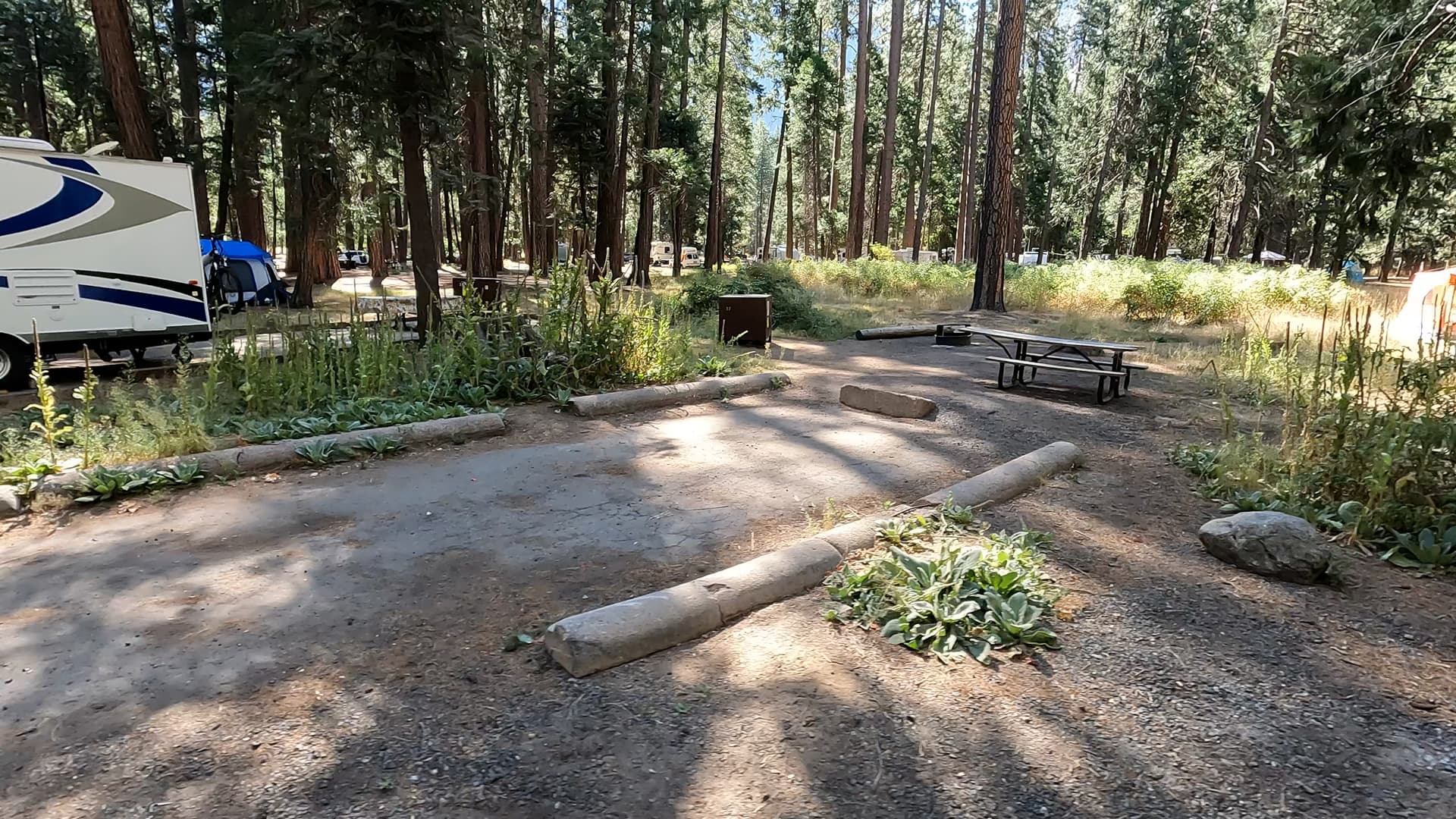 Site 37