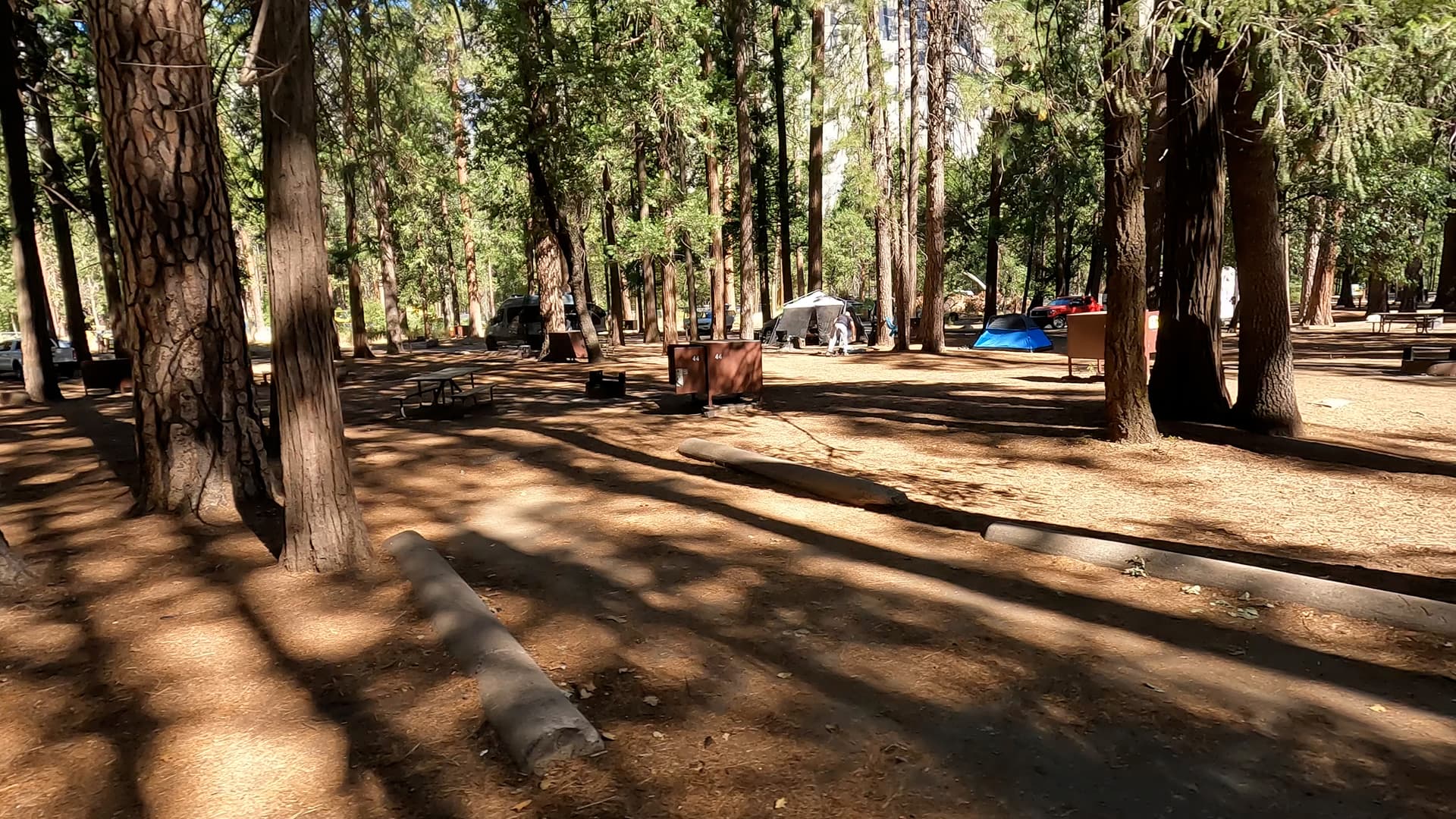 Site 44
