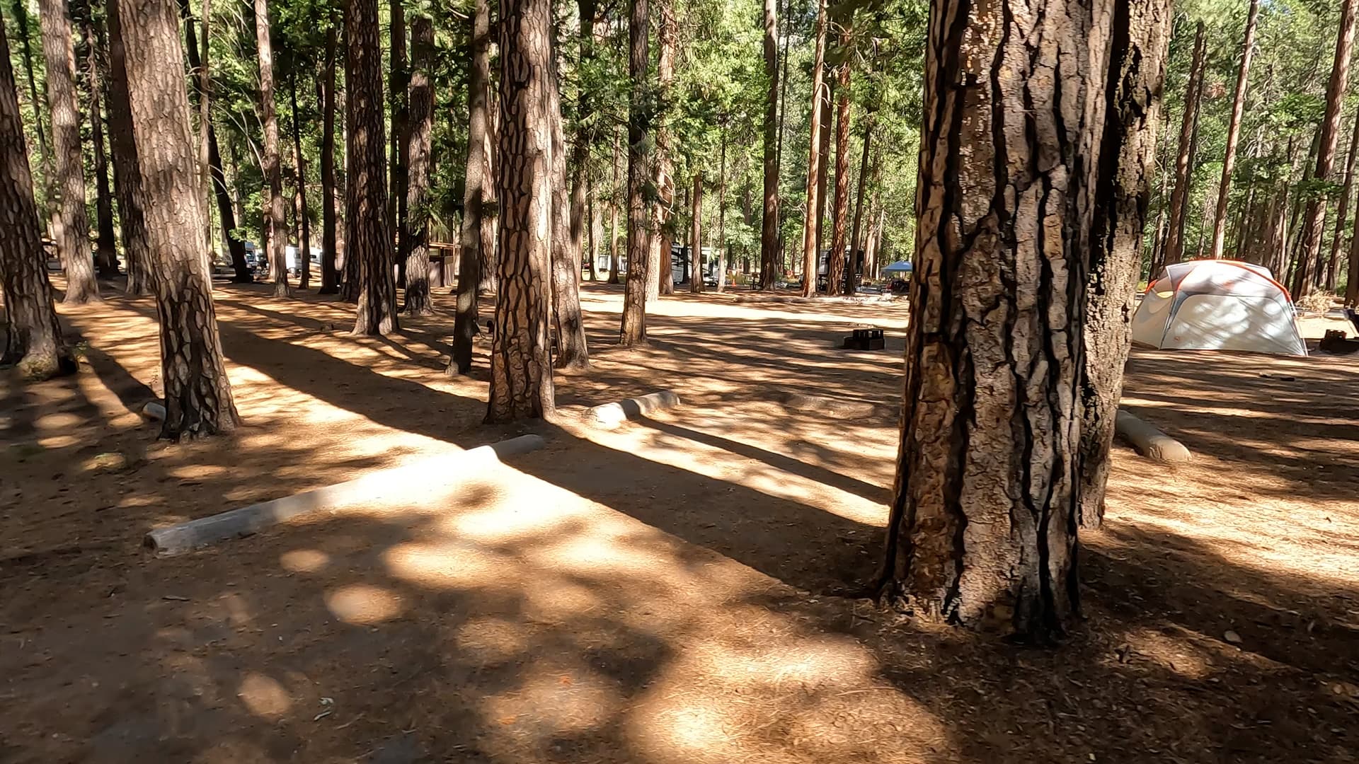Site 55