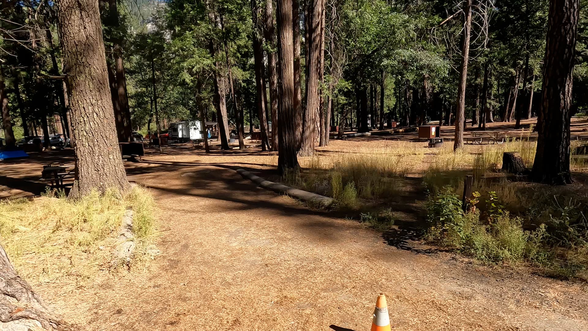 Site 49