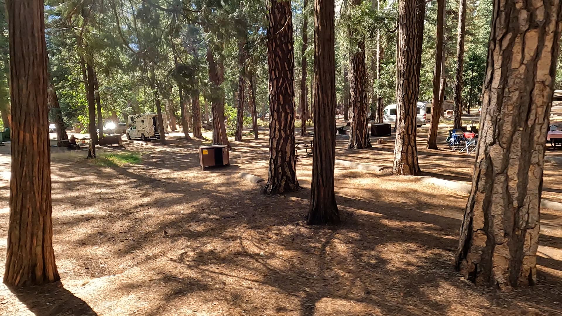 Site 56