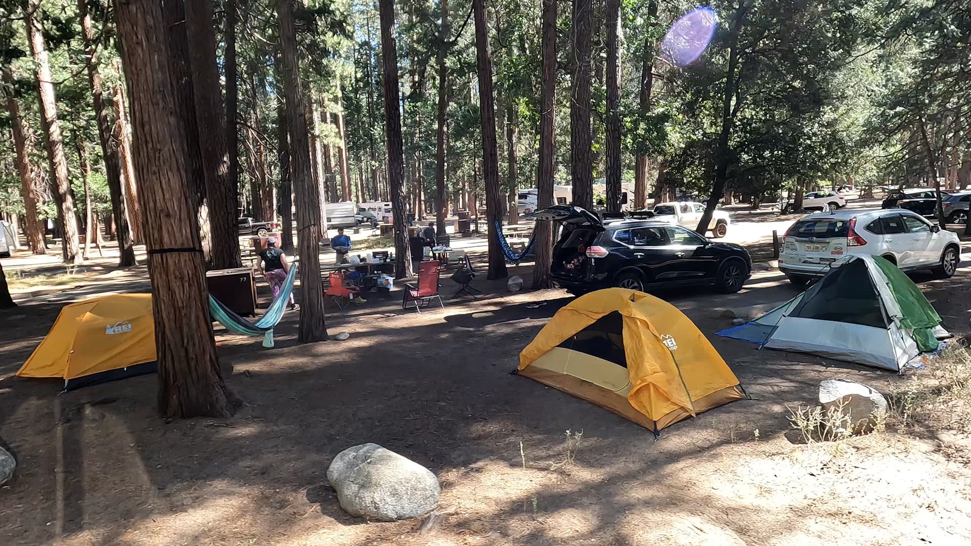 Site 77