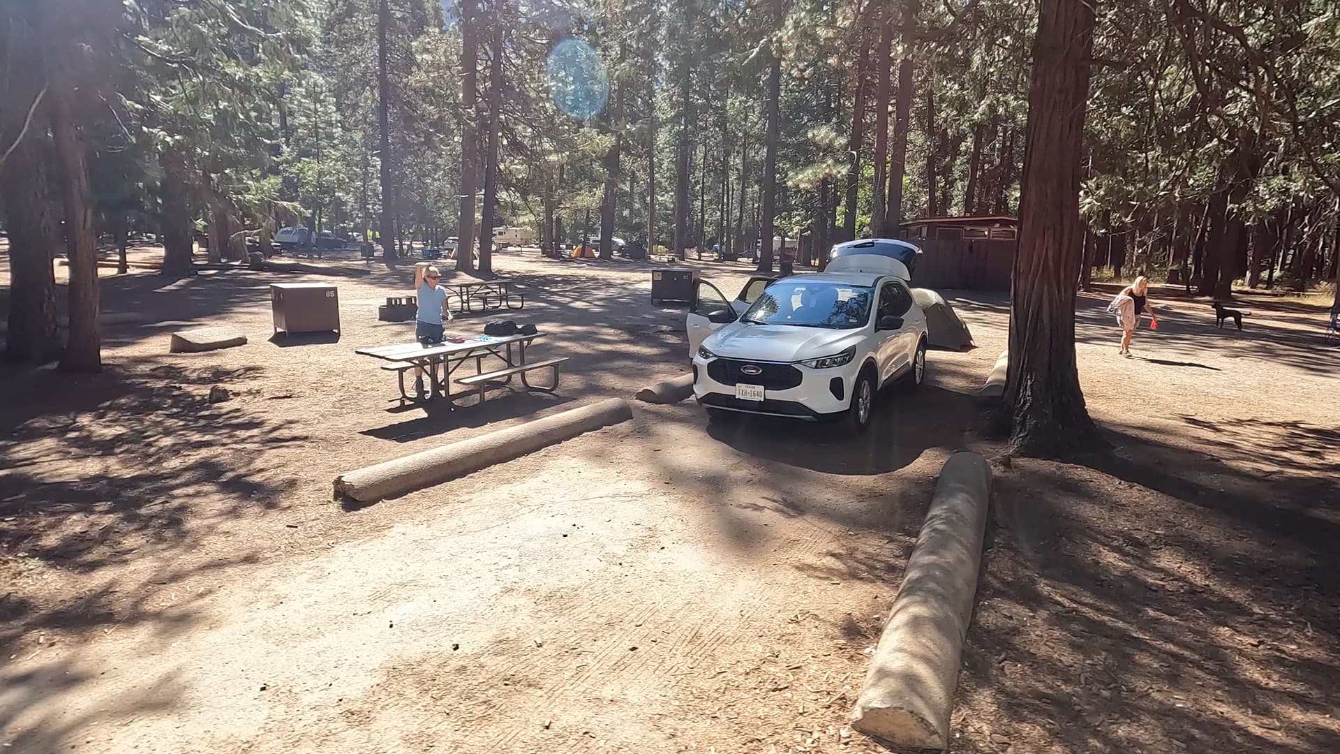 Site 83