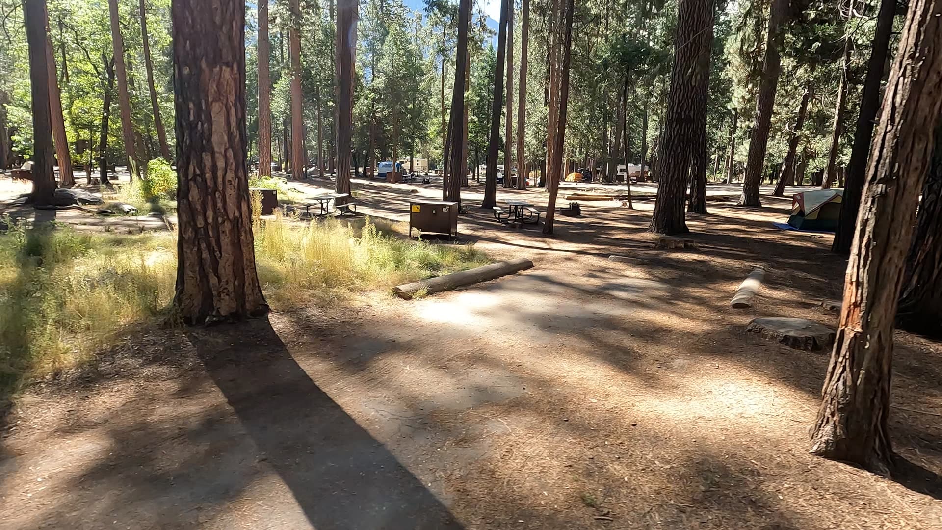 Site 89
