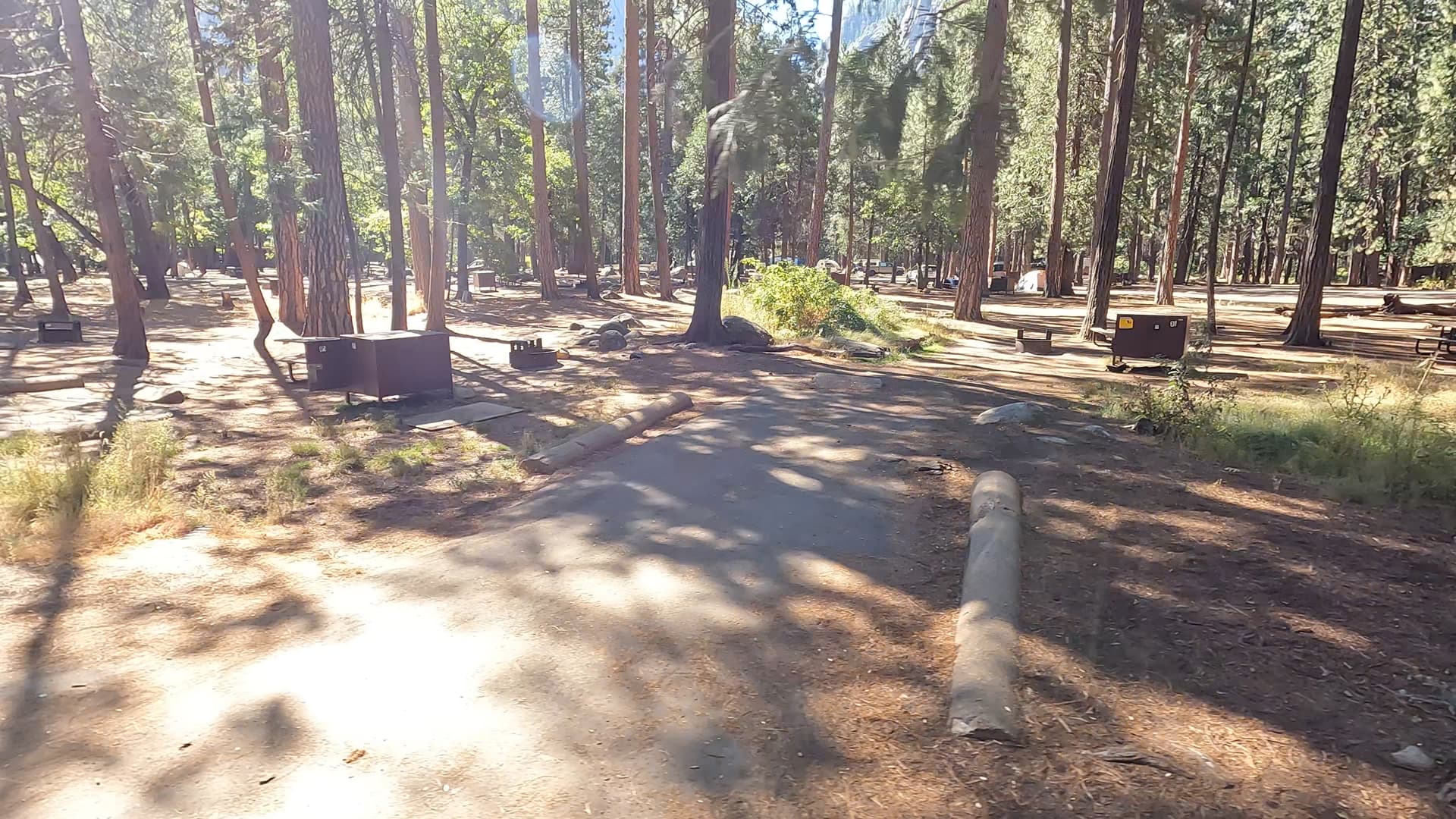 Site 91