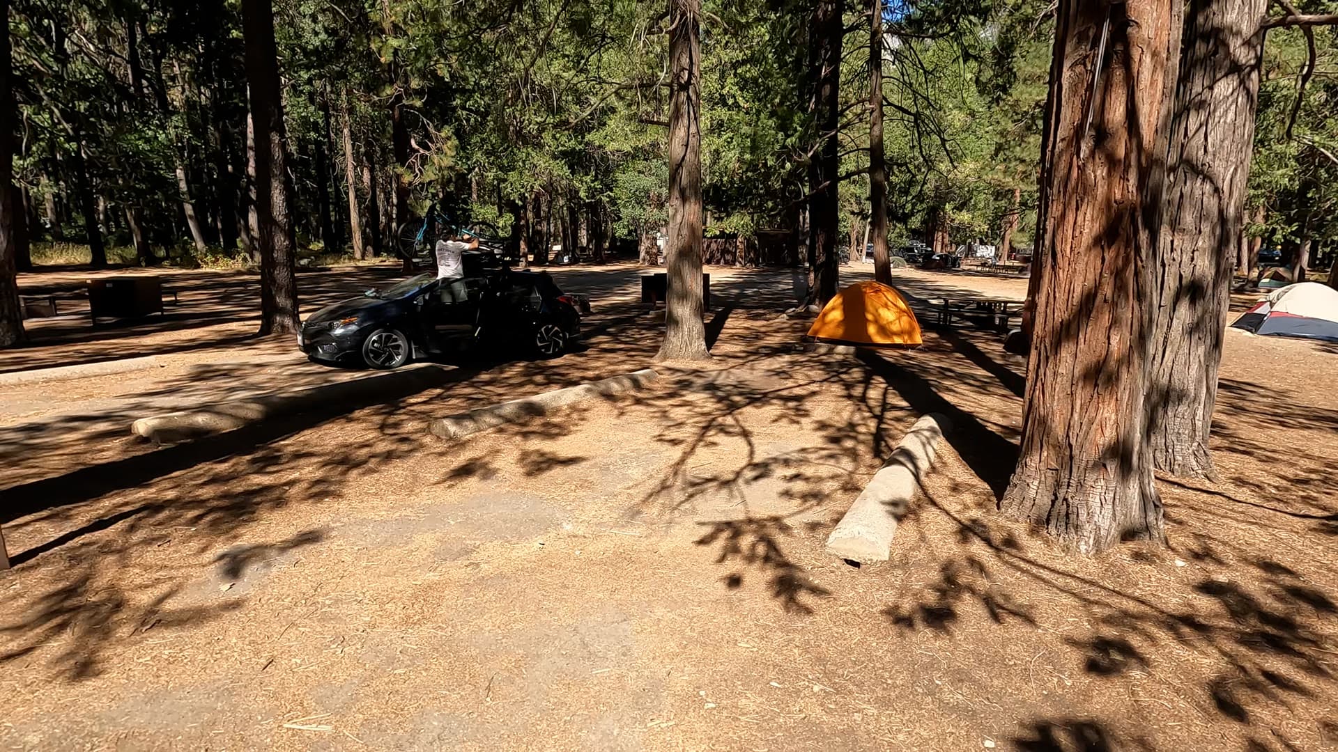 Site 103